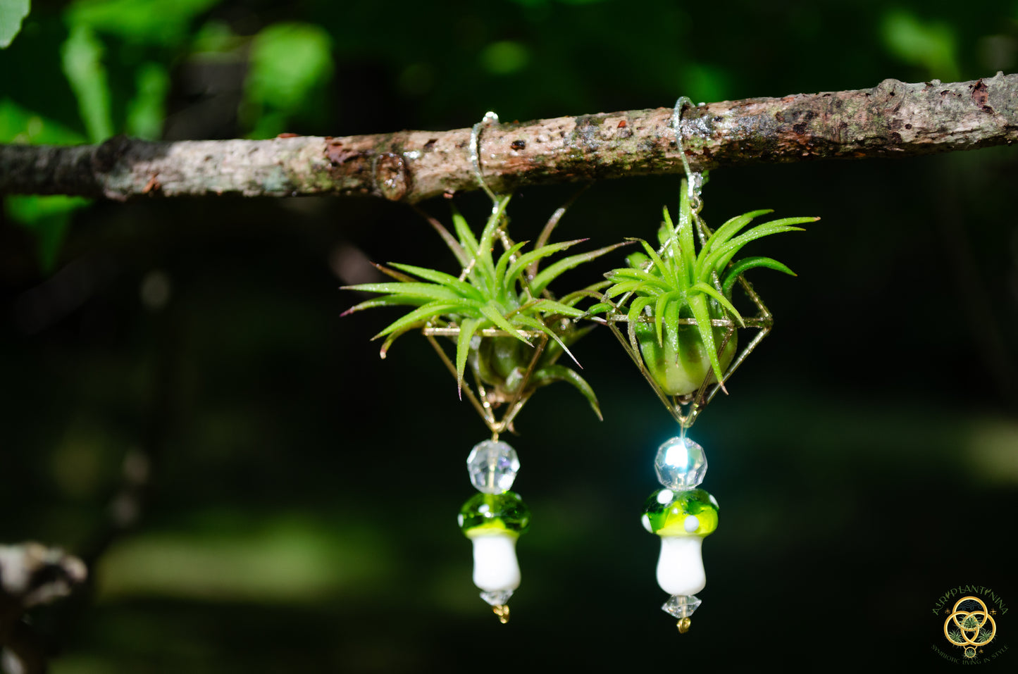 Glass Mushroom Air Plant Earrings ~ Diamond Octahedron Earrings