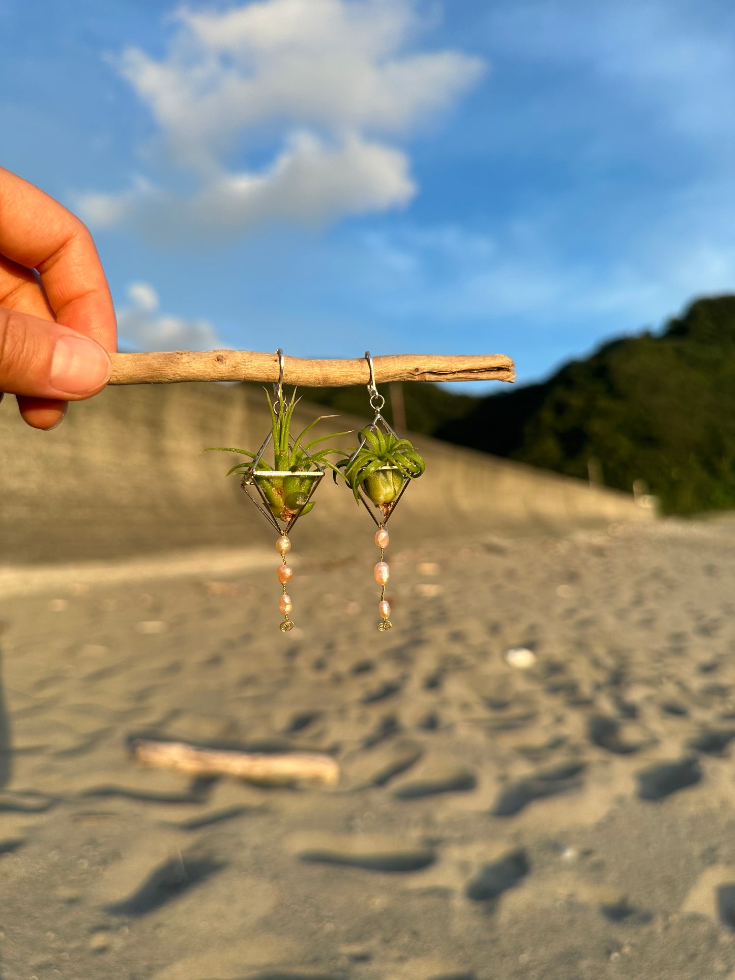 Pearl Dangle Air Plant Earrings