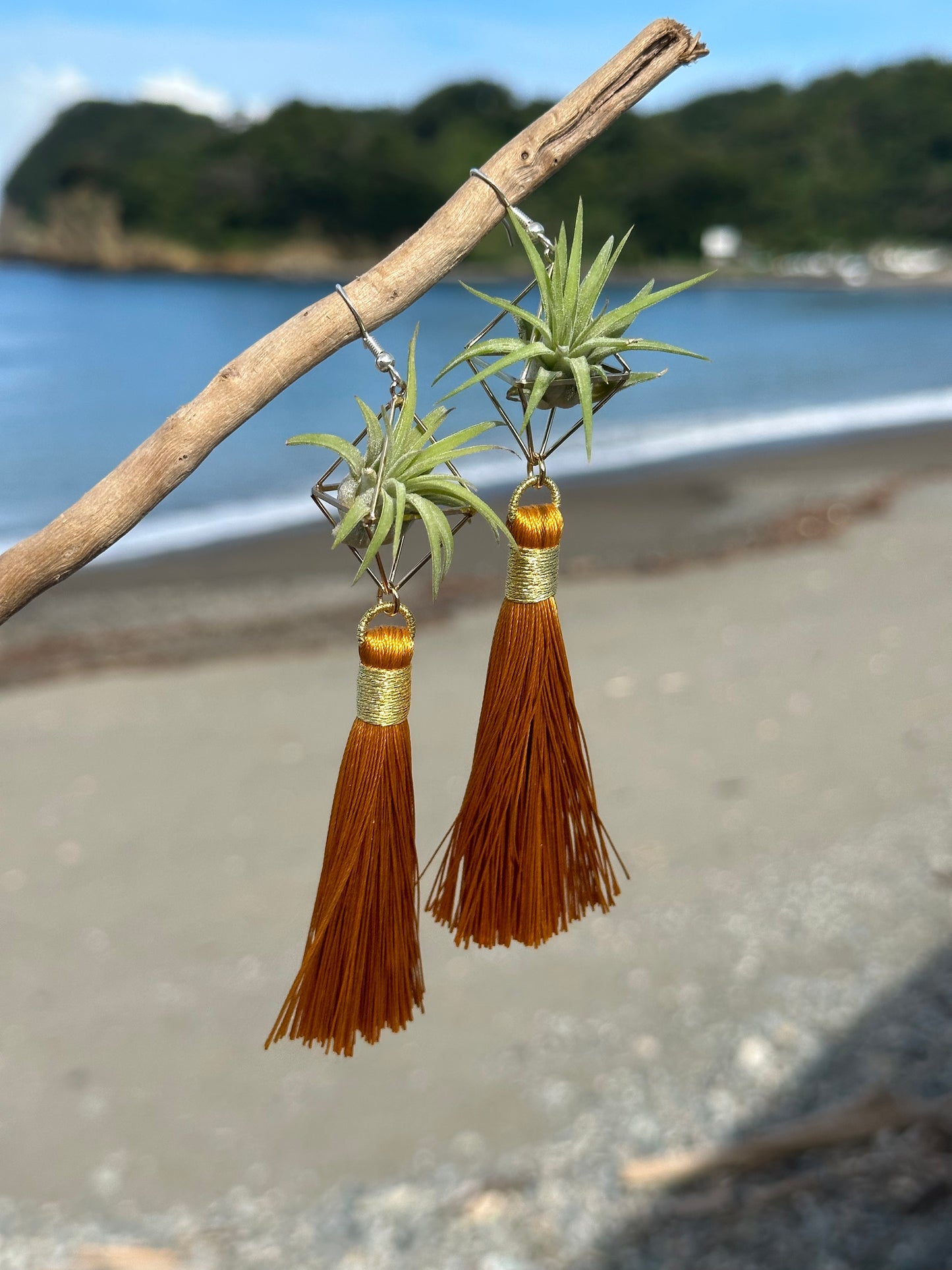 Royal Gold Tassel Air Plant Earrings