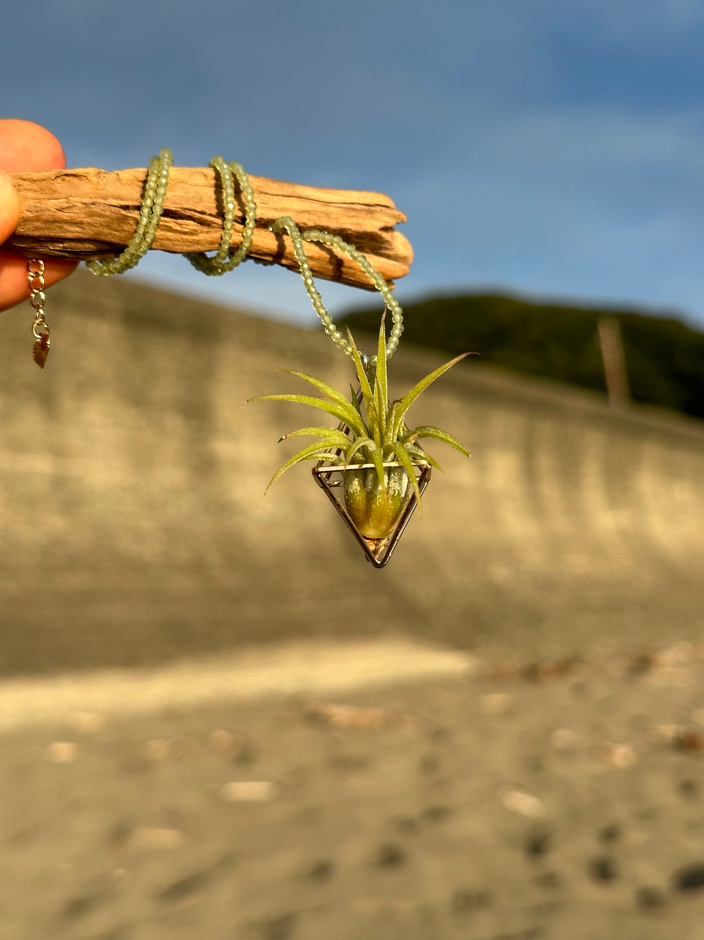 Gemstone Air Plant Pendant