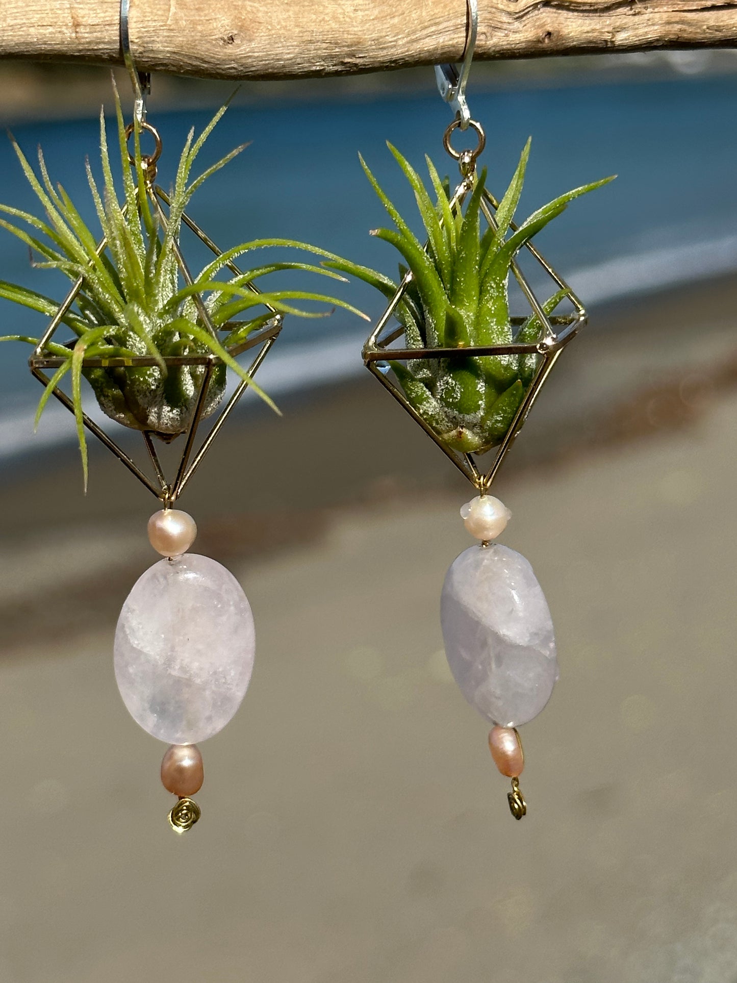 Rose Quartz Air Plant Earrings ~ Diamond Octahedron Earrings