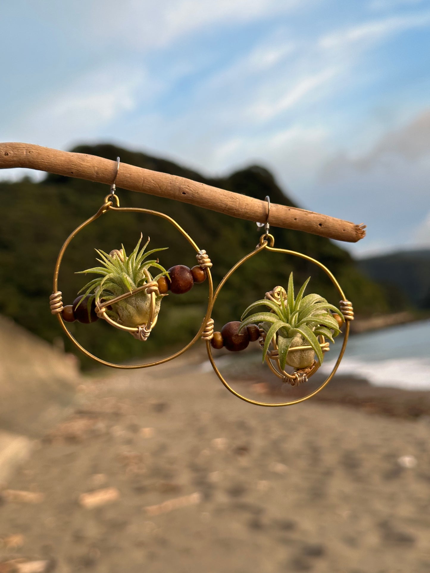 Living Air Plant Living Hoop Earrings