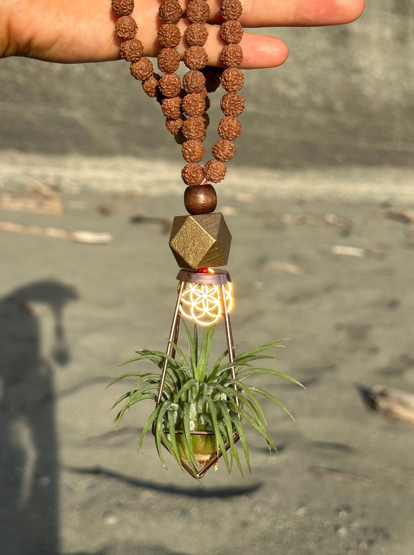 Rudraksha Monk Prayer Bead Air Plant Necklace