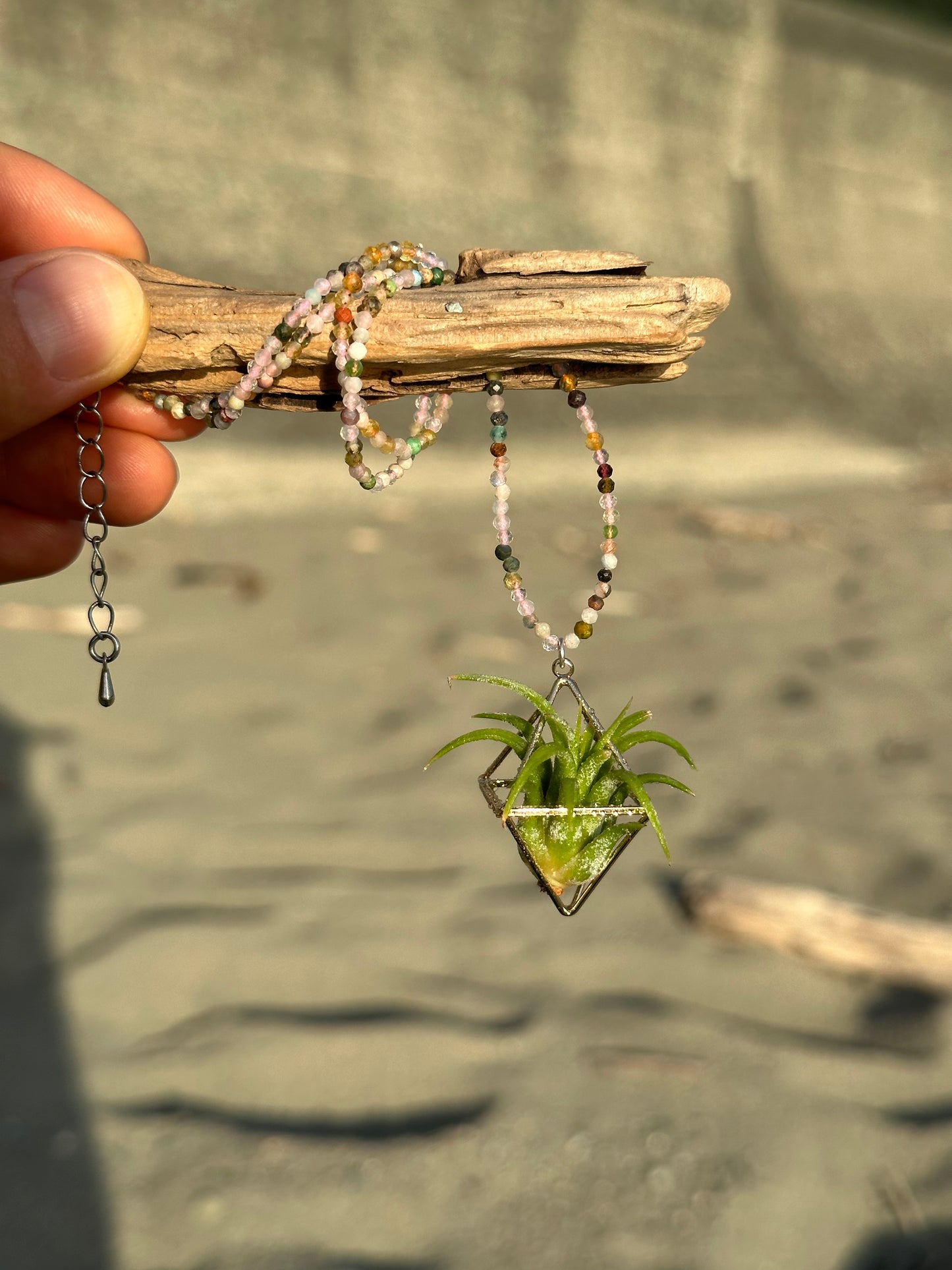 Gemstone Air Plant Pendant