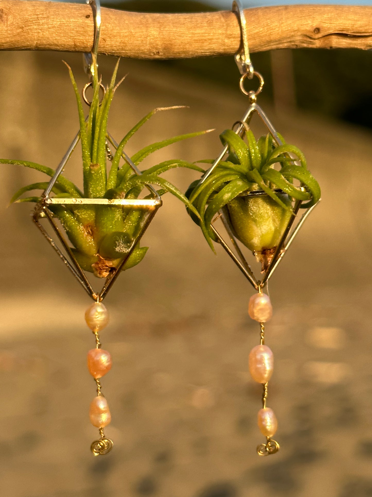 Pearl Dangle Air Plant Earrings