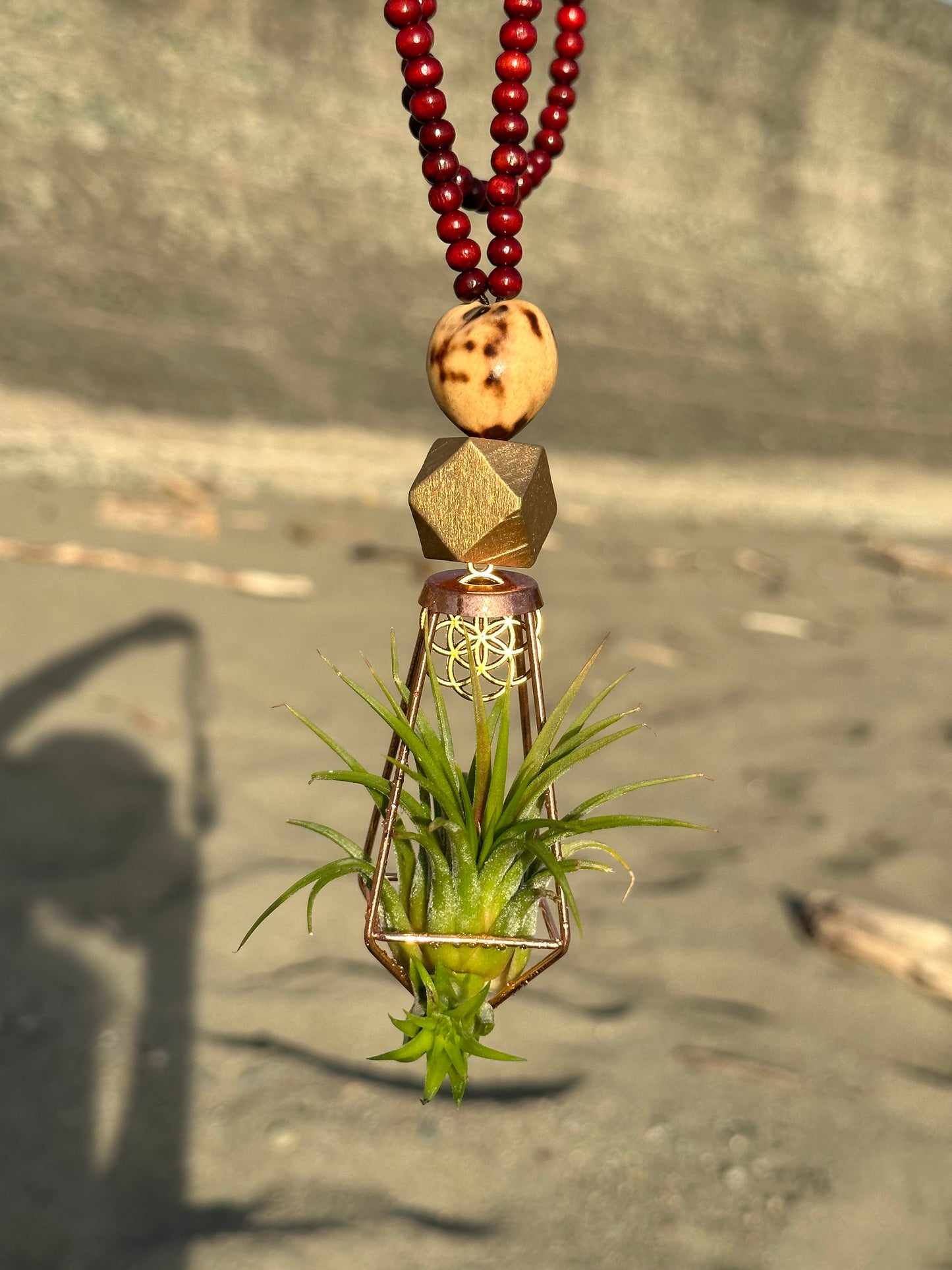 REORDER WHOLESALE 15 PACK: AIR PLANT NECKLACE, Pendants, Earrings Assortment WHOLESALE x 50% DISCOUNT