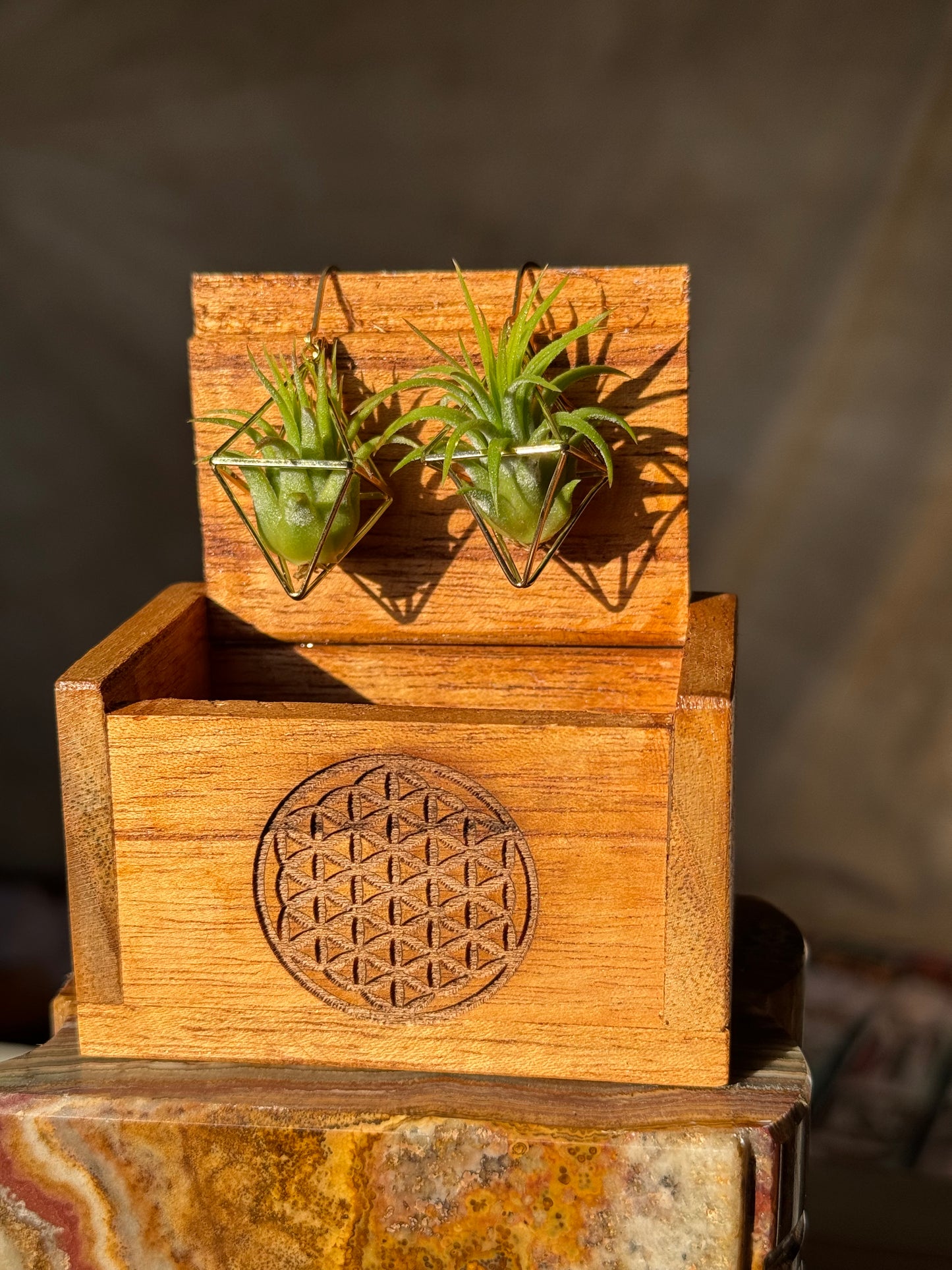 Air Plant Wooden Travel Box - Balinese Handcrafted - Flower of Life