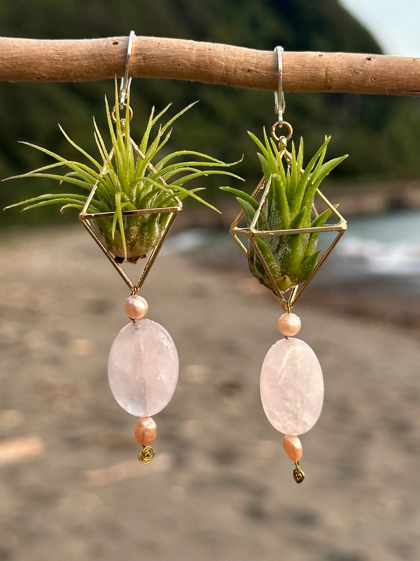 Rose Quartz Air Plant Earrings ~ Diamond Octahedron Earrings