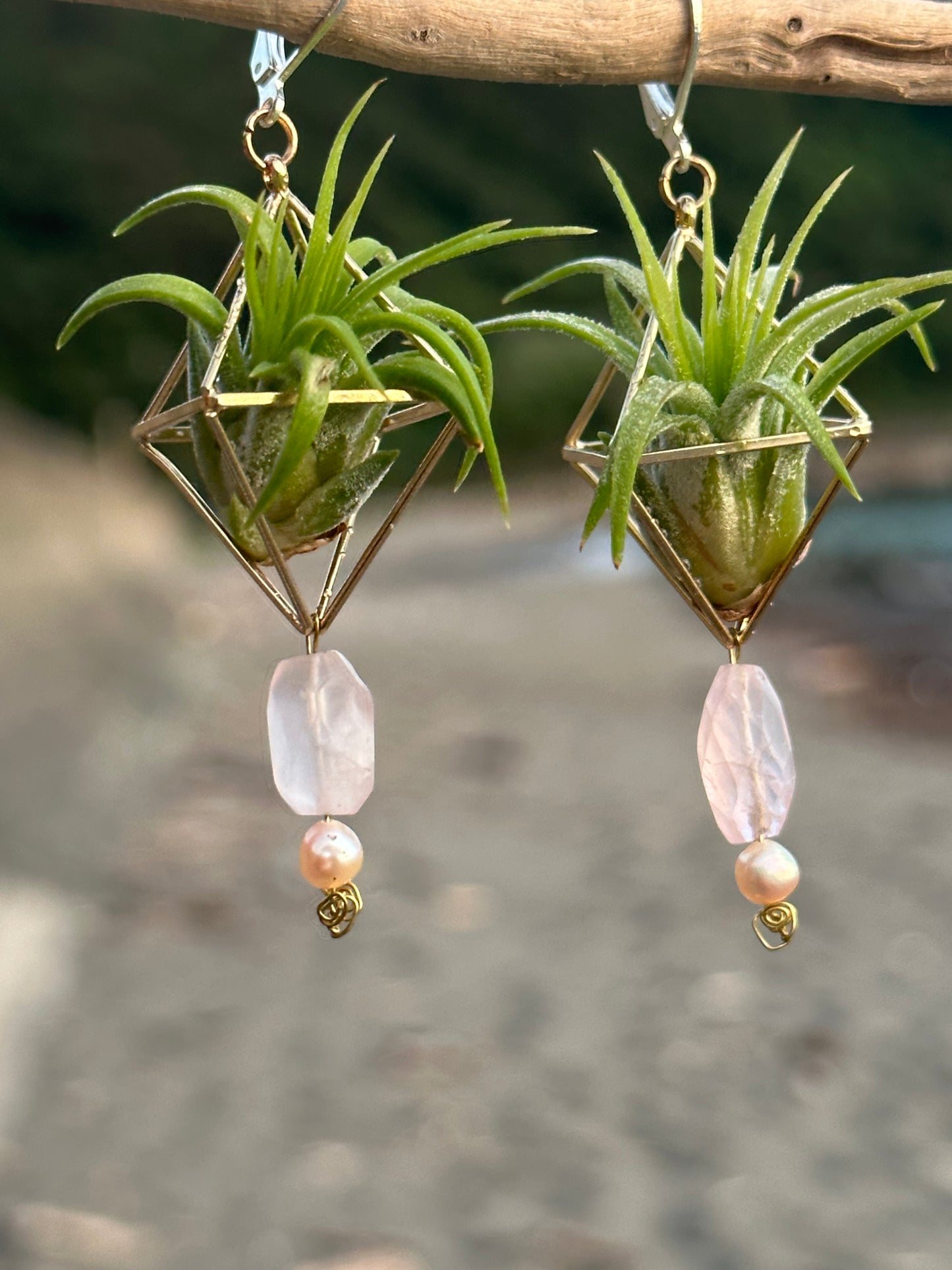 Rose Quartz Air Plant Earrings ~ Diamond Octahedron Earrings