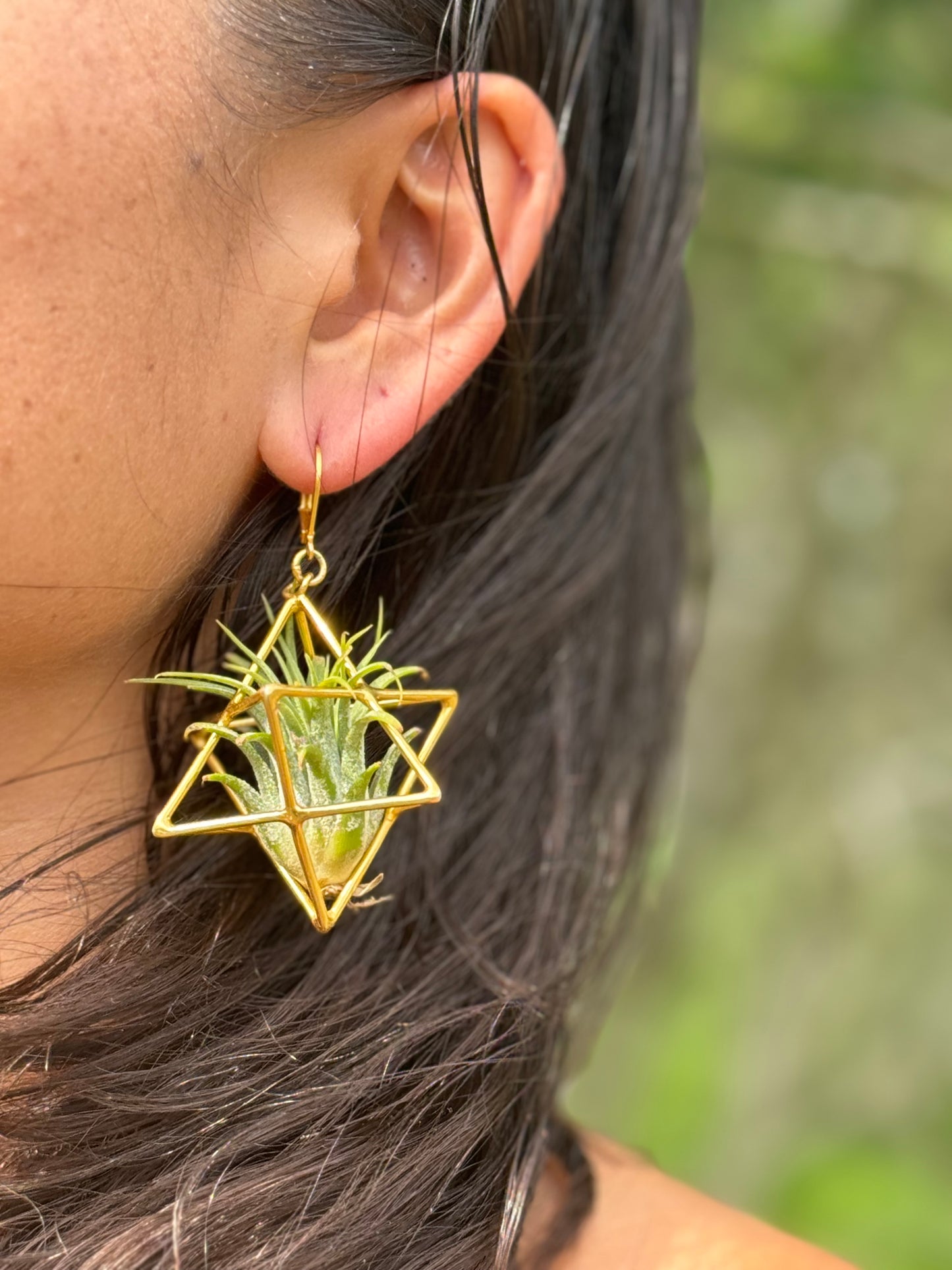24K Gold Merkaba Ascension Air Plant Earrings ~ 3D Polyhedron Geometric Earrings
