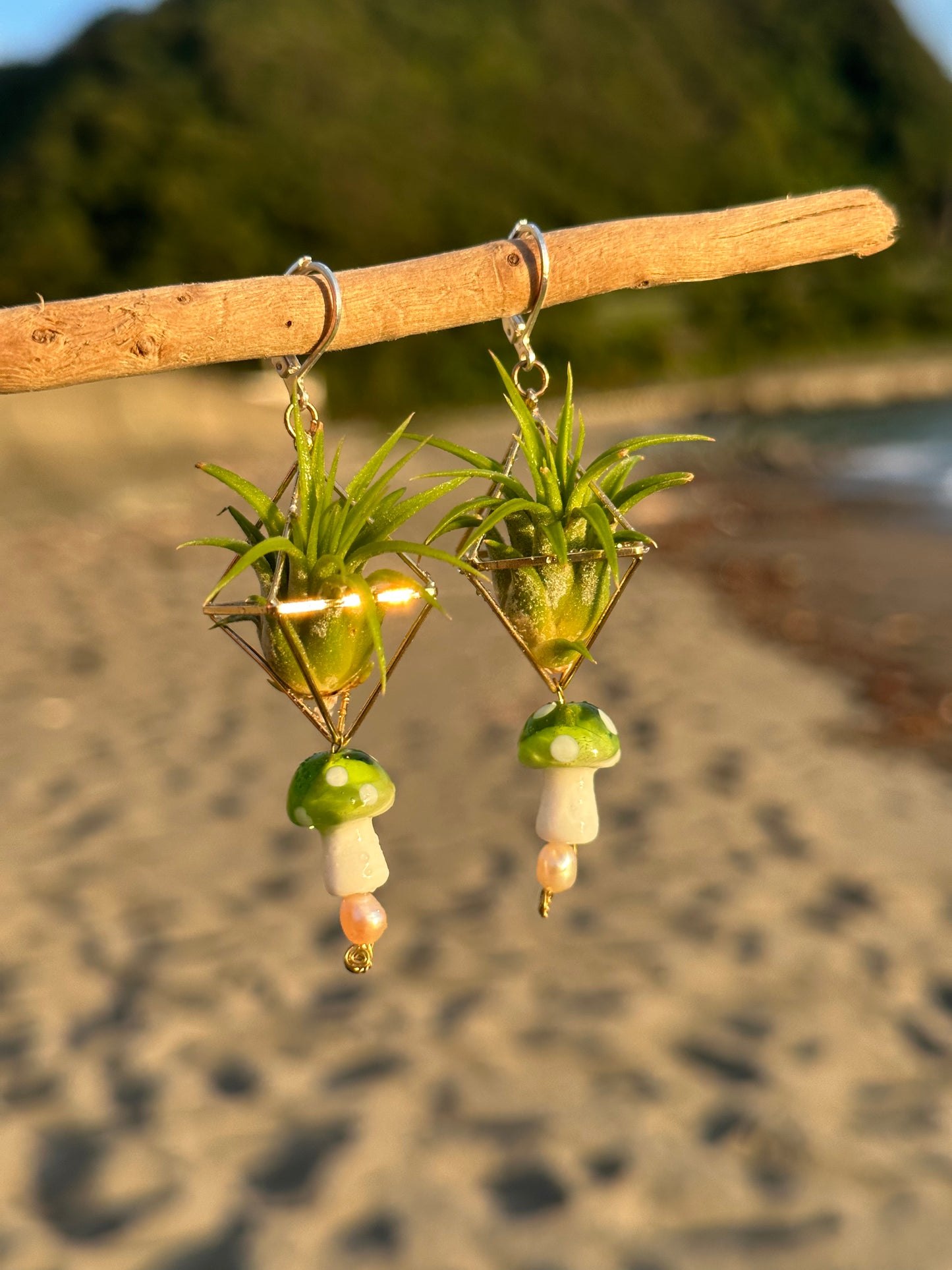 Glass Mushroom Air Plant Earrings ~ Diamond Octahedron Earrings