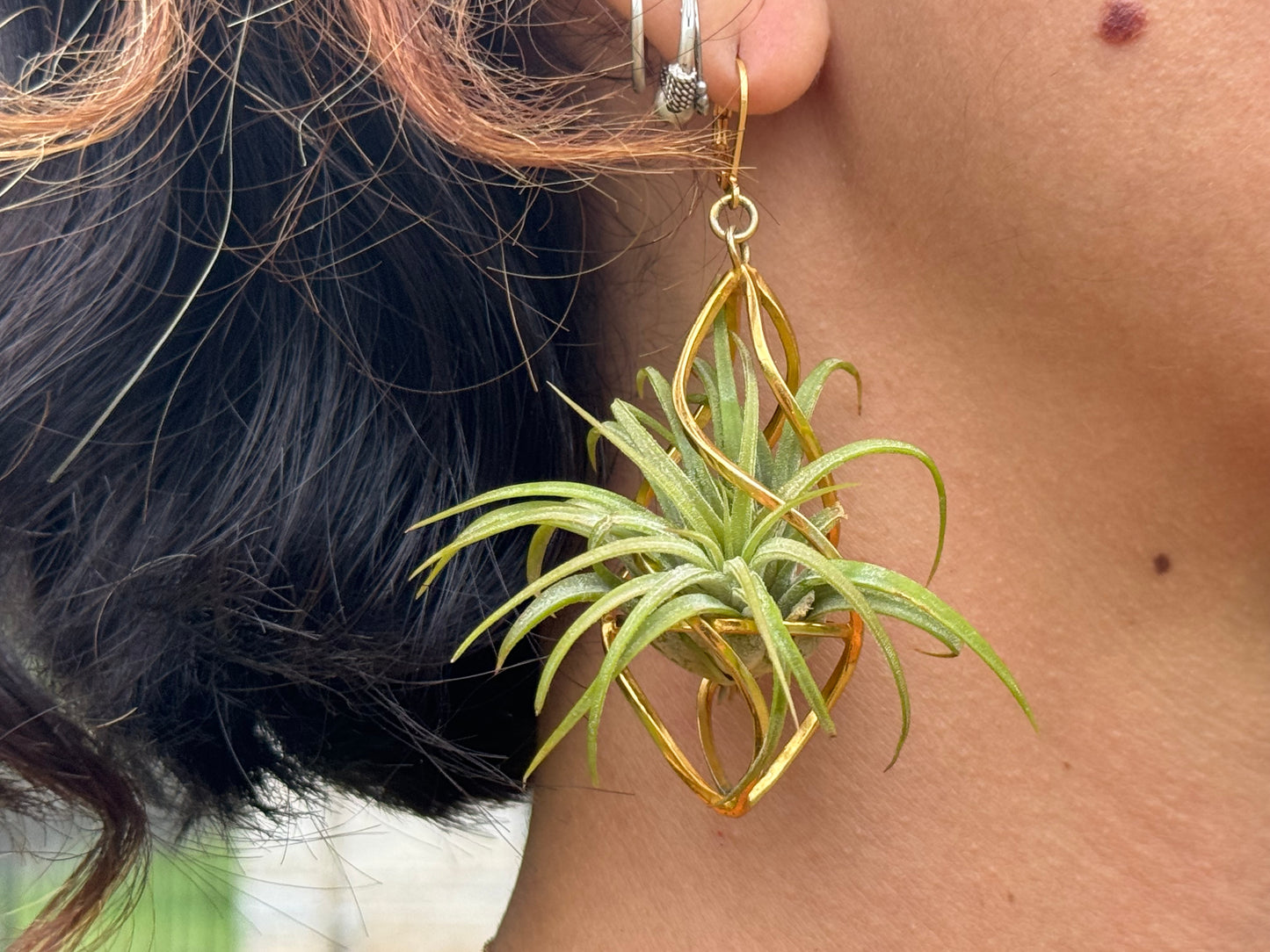 24K Gold Spiral Spindel Air Plant Earrings ~ Luxury Geometric Earrings