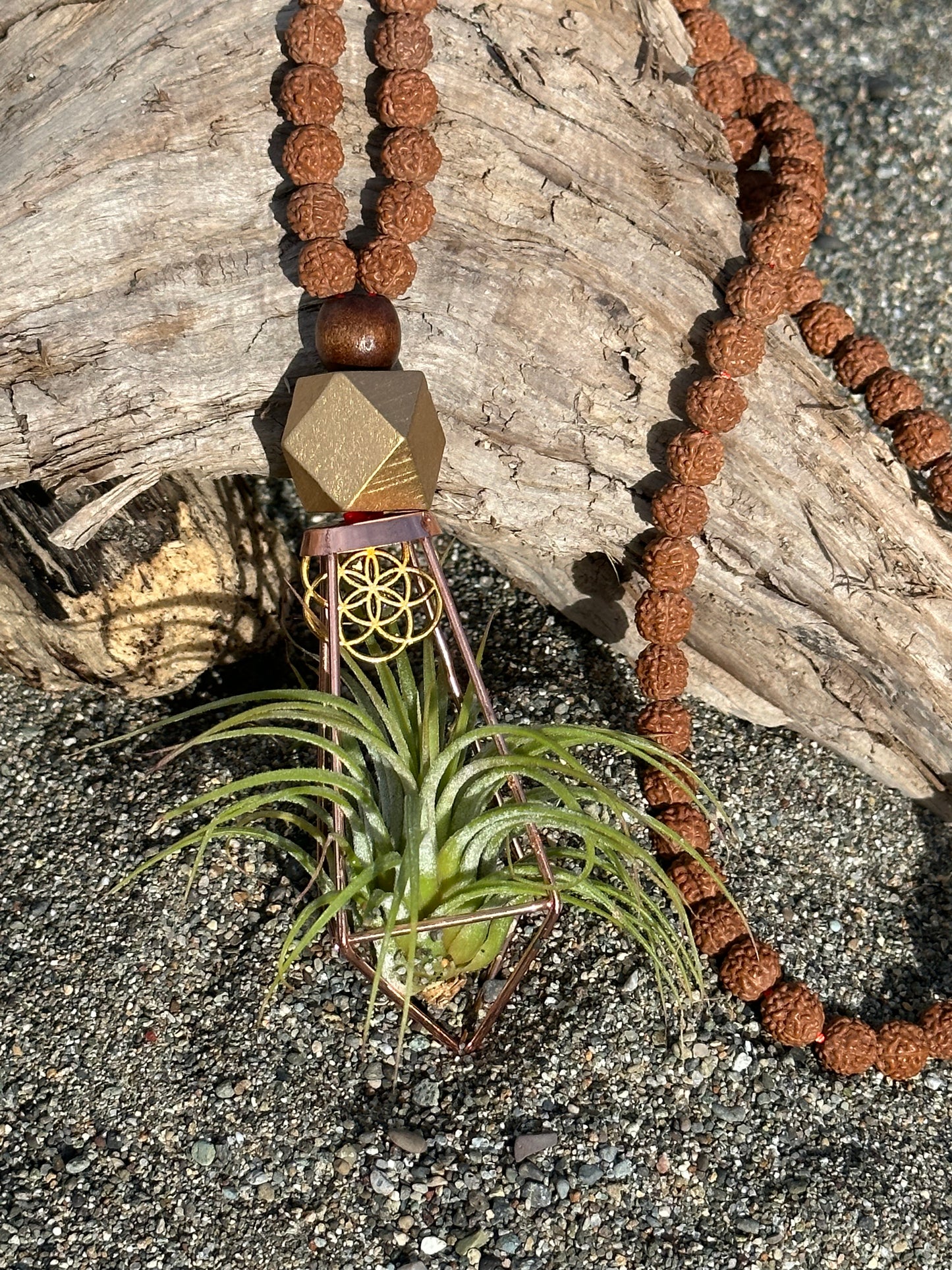 Rudraksha Monk Prayer Bead Air Plant Necklace