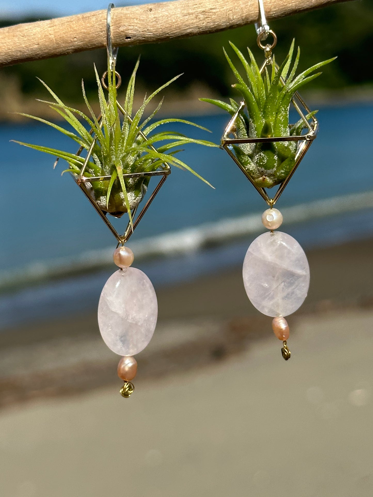 Rose Quartz Air Plant Earrings ~ Diamond Octahedron Earrings