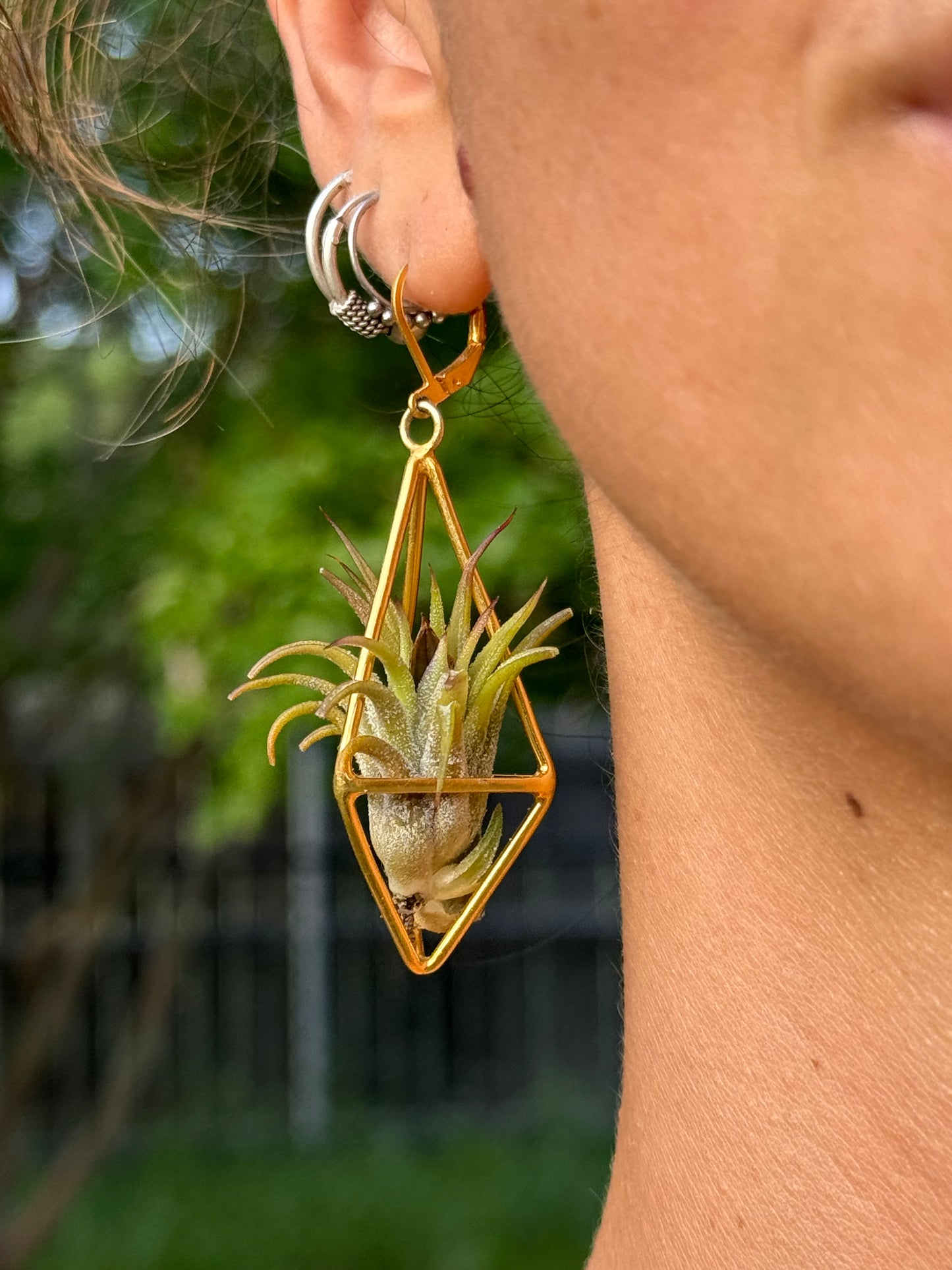 24K Gold Long Tetrahedron Air Plant Earrings ~ Minimalist Geometric Earrings