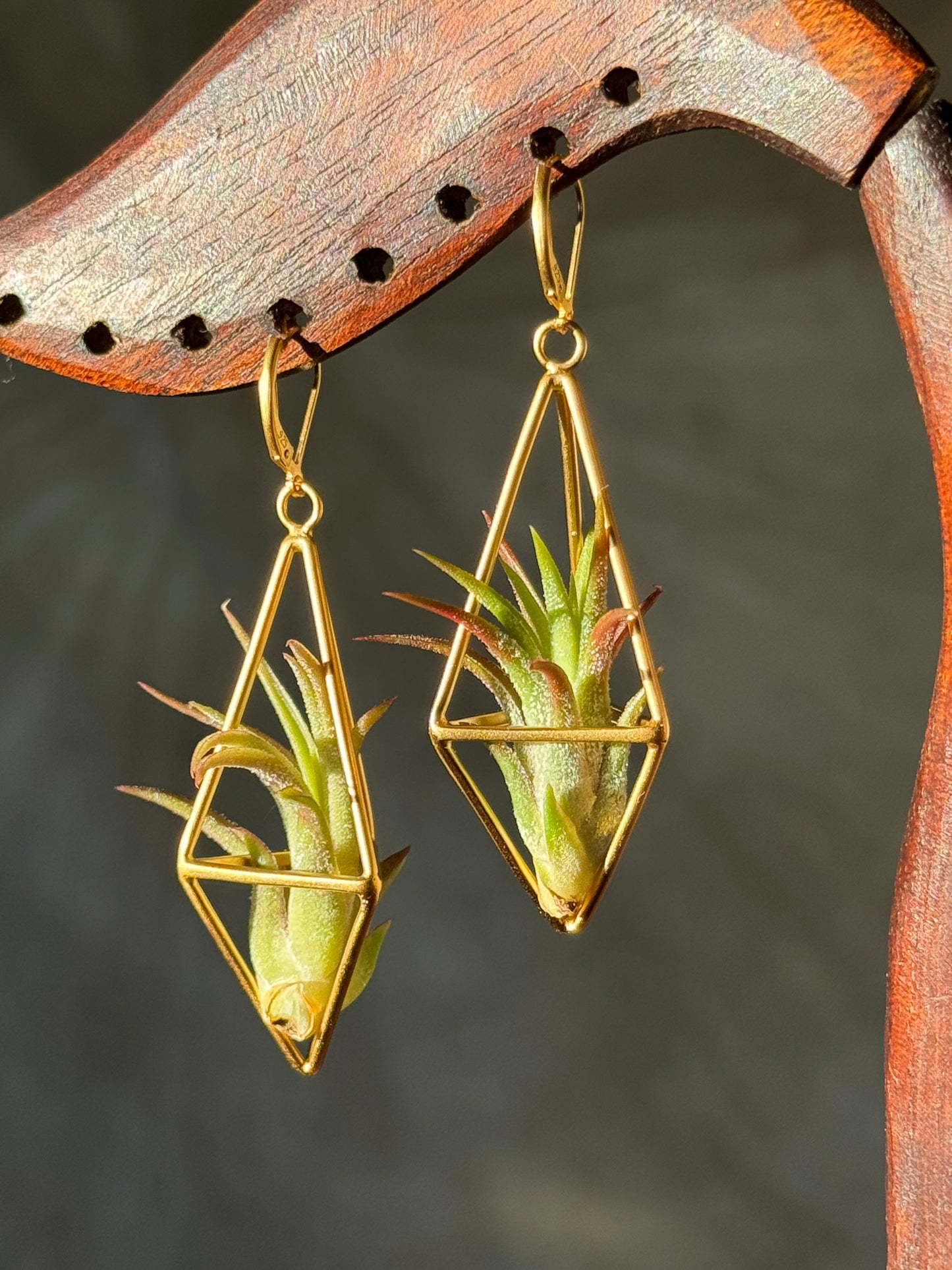 24K Gold Long Tetrahedron Air Plant Earrings ~ Minimalist Geometric Earrings
