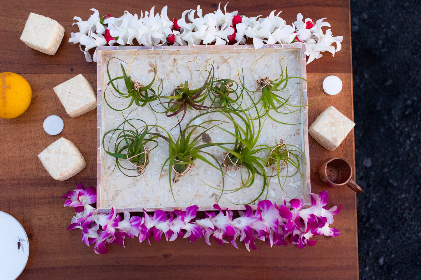 Air Plant Cuff Bracelet ~ Corsage Terrarium ~Anklet + Crystal Pyramid