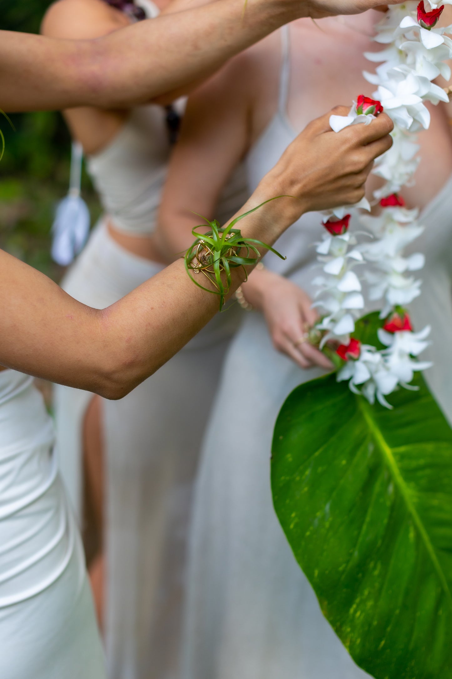 Air Plant Cuff Bracelet ~ Corsage Terrarium ~Anklet + Crystal Pyramid