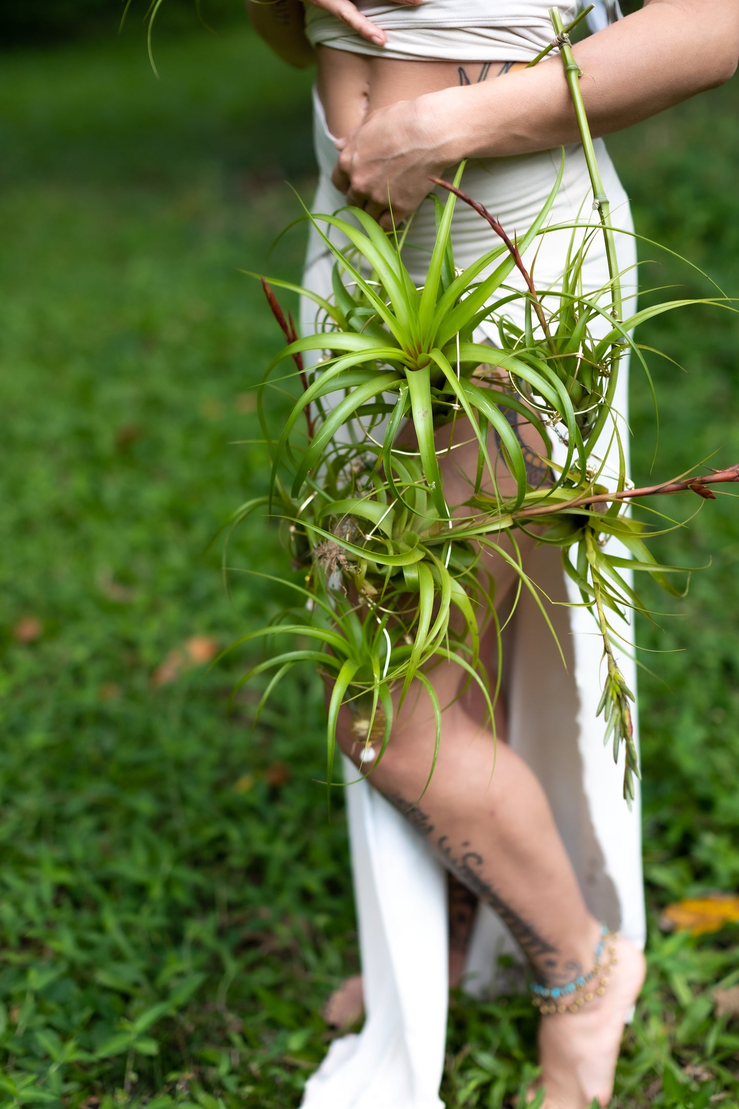 Air Plant Bridal Hoop Bouquet ~ Lives Forever