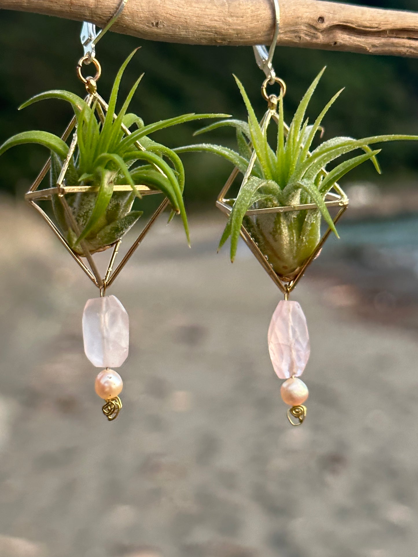 Rose Quartz Air Plant Earrings ~ Diamond Octahedron Earrings
