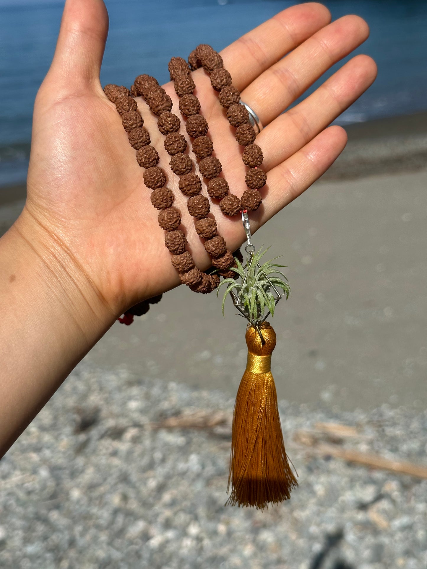 Rudraksha Monk Prayer Bead Air Plant Necklace