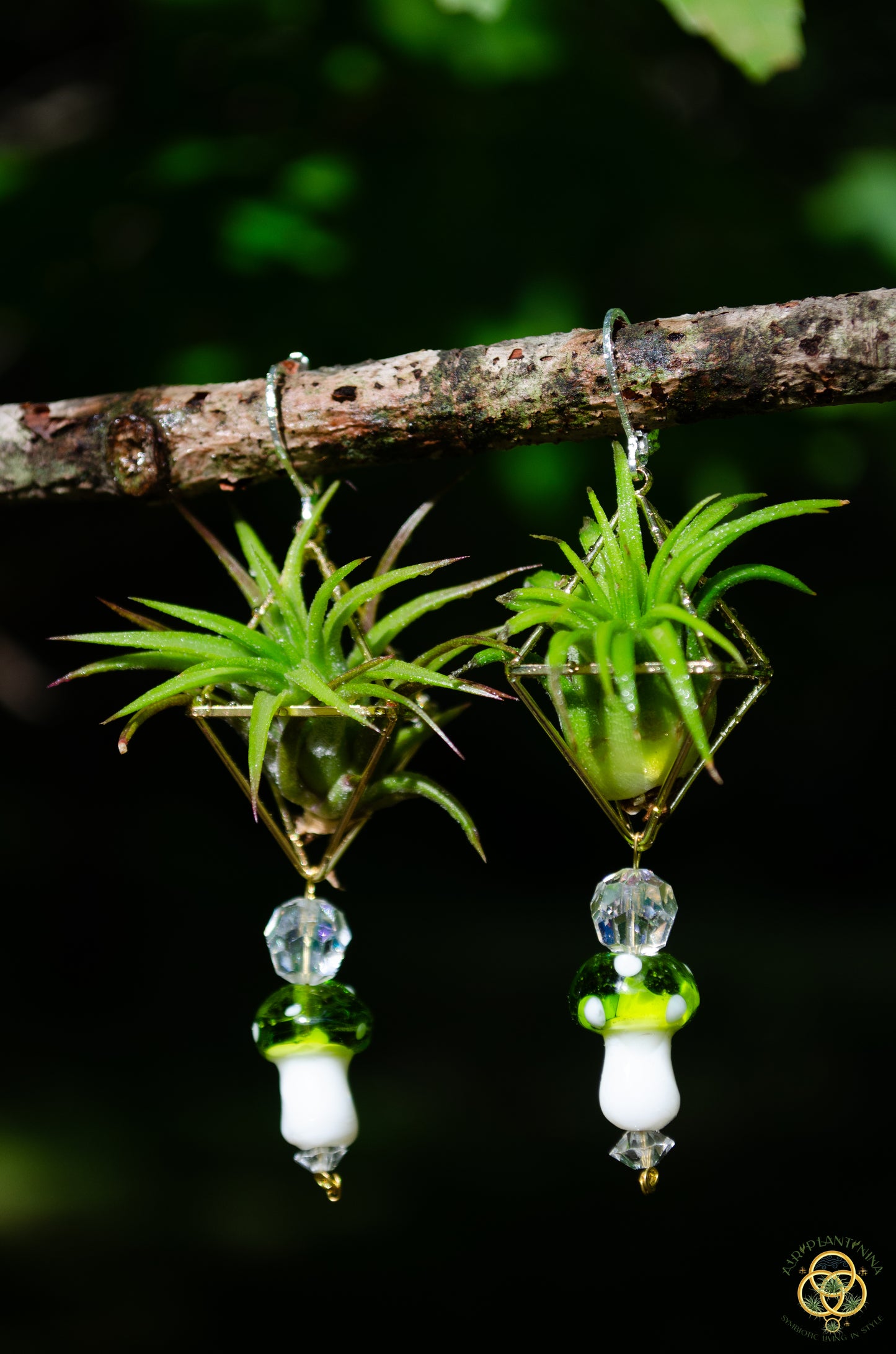 Glass Mushroom Air Plant Earrings ~ Diamond Octahedron Earrings