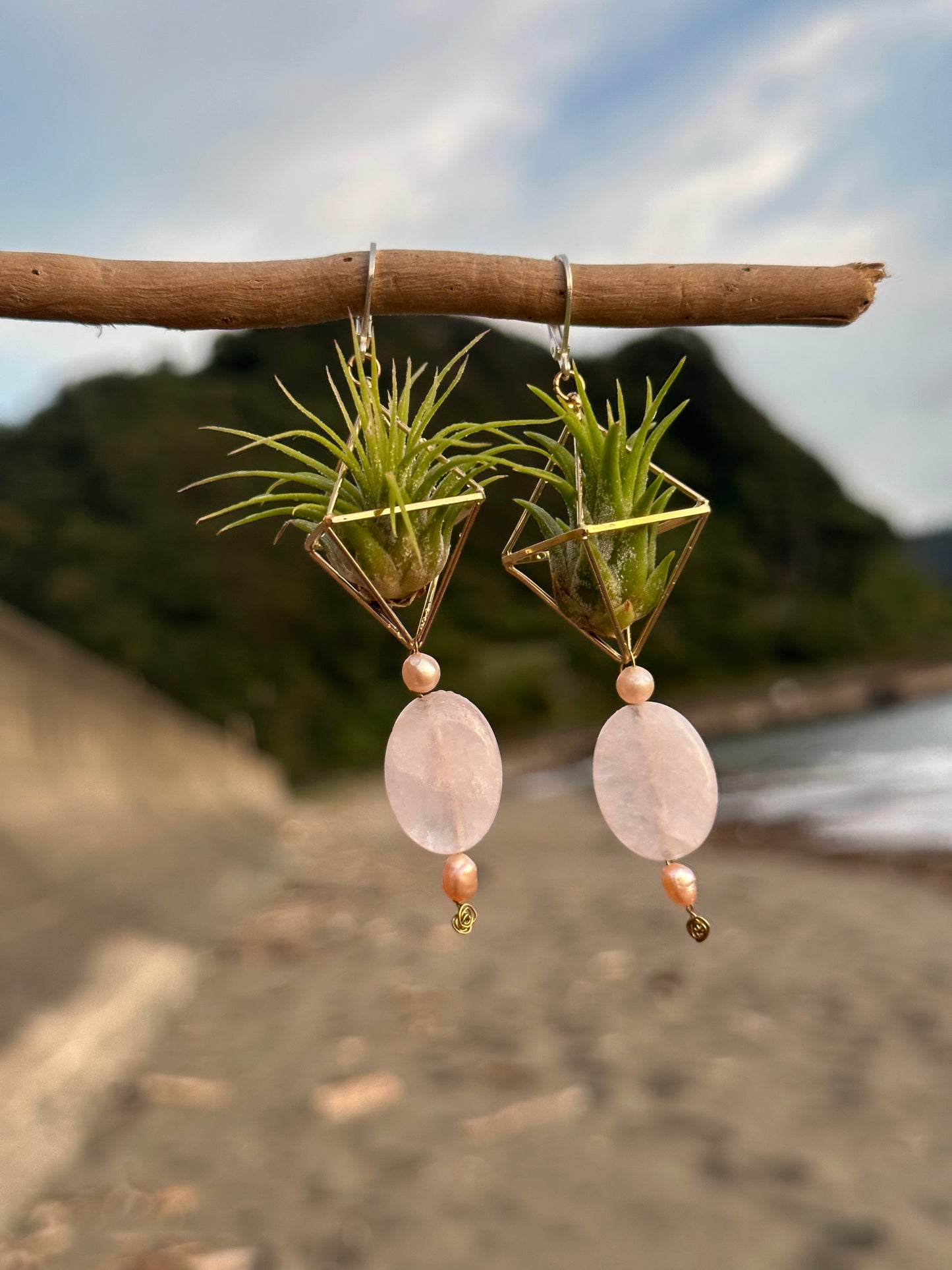 Rose Quartz Air Plant Earrings ~ Diamond Octahedron Earrings