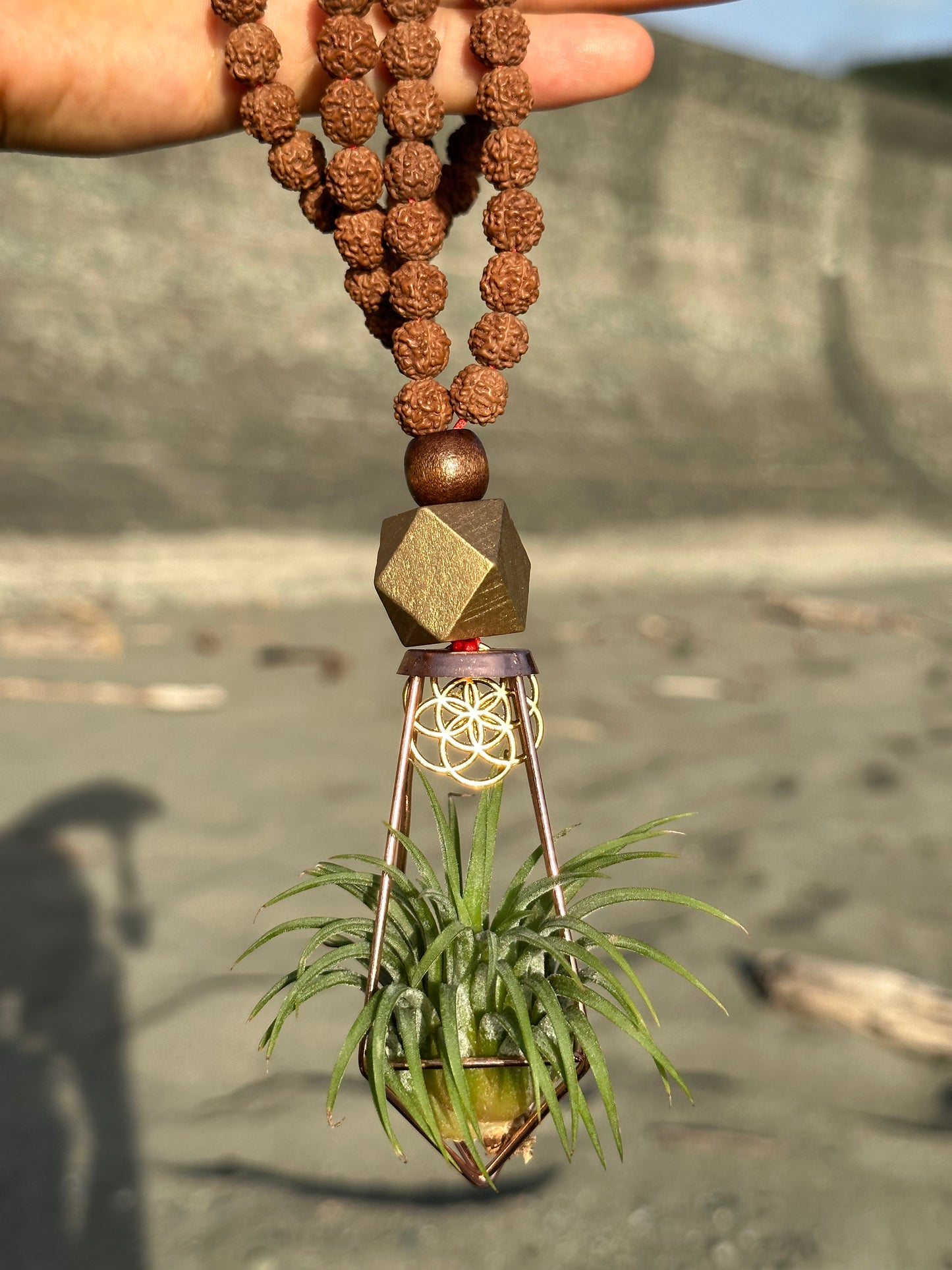 Rudraksha Monk Prayer Bead Air Plant Necklace