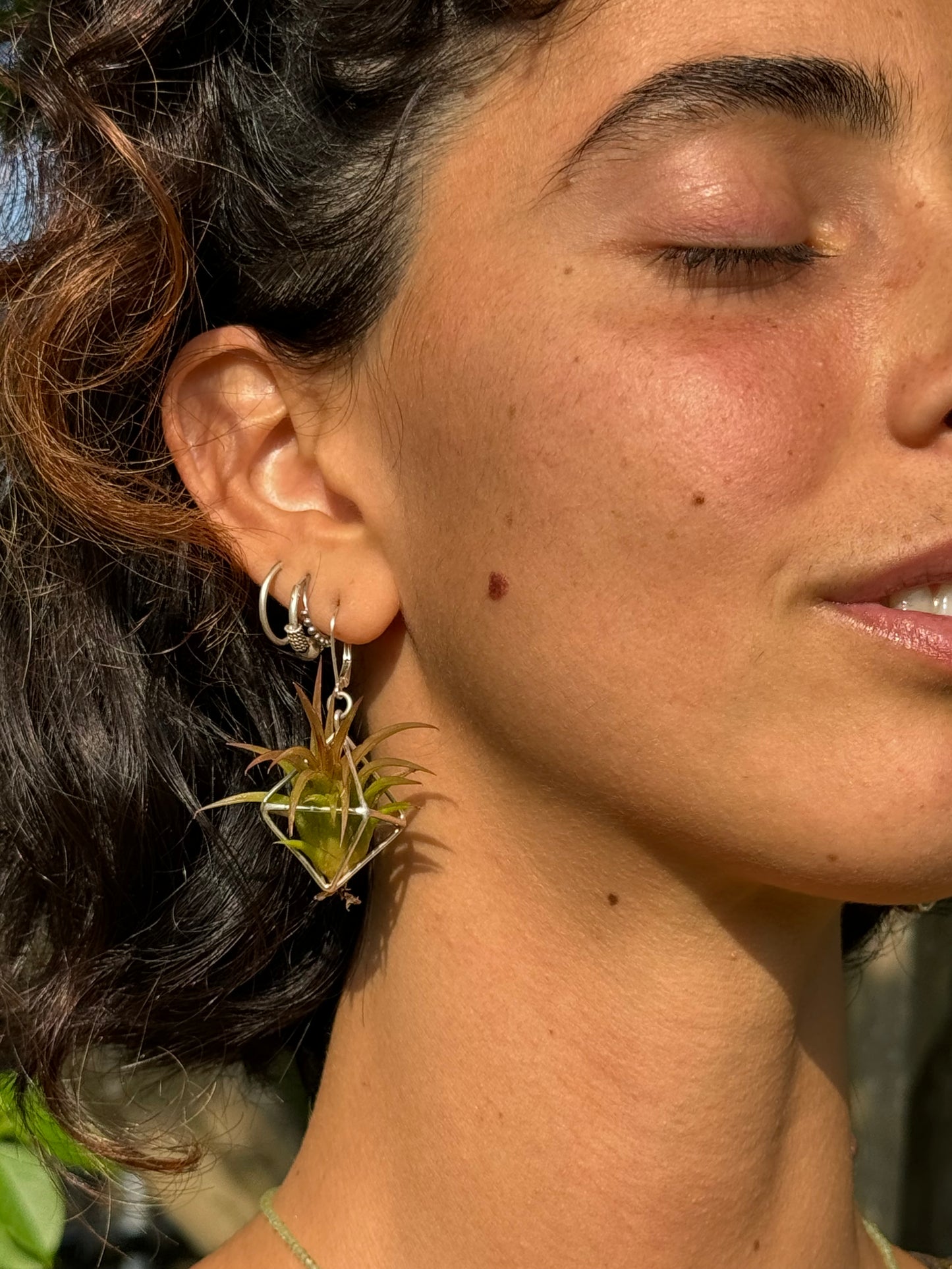 Sterling Silver Mini Octahedron Classic Air Plant Clasp Earrings