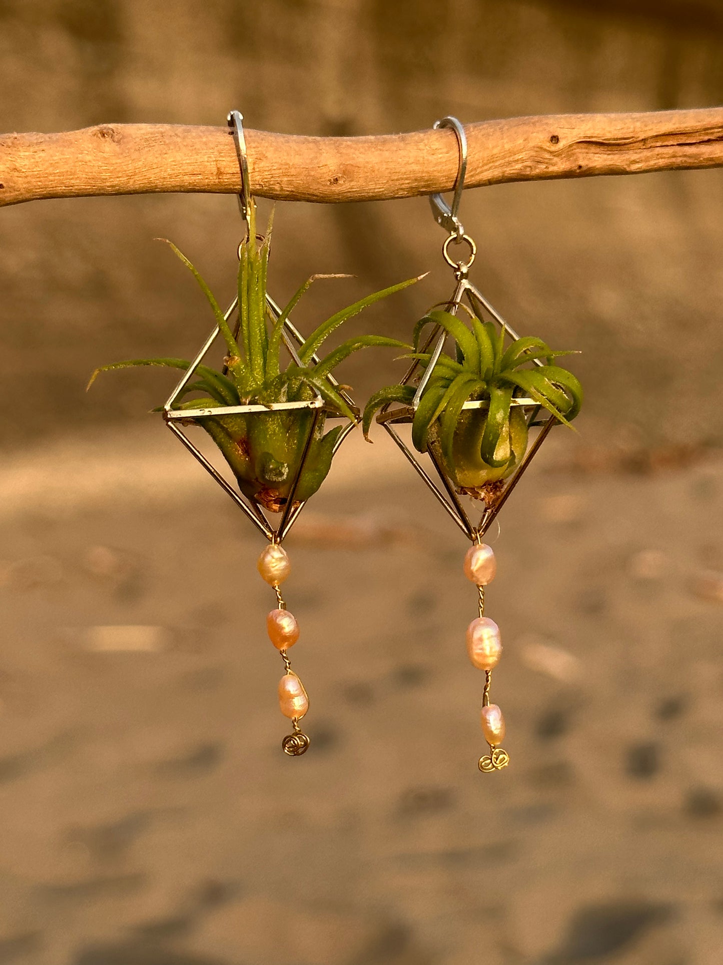 Pearl Dangle Air Plant Earrings