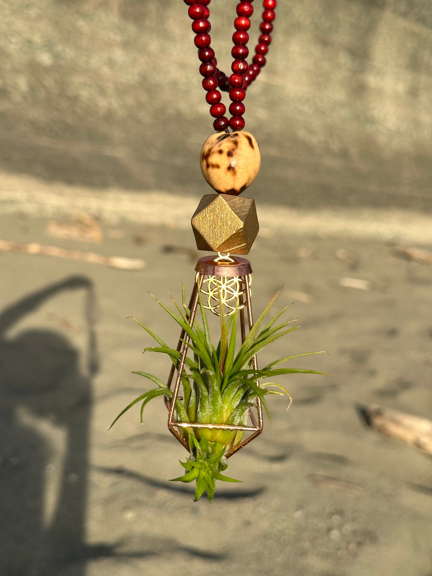 Air Plant Terrarium Sandalwood Bead Necklace ~ Buddha Monk Prayer Beads