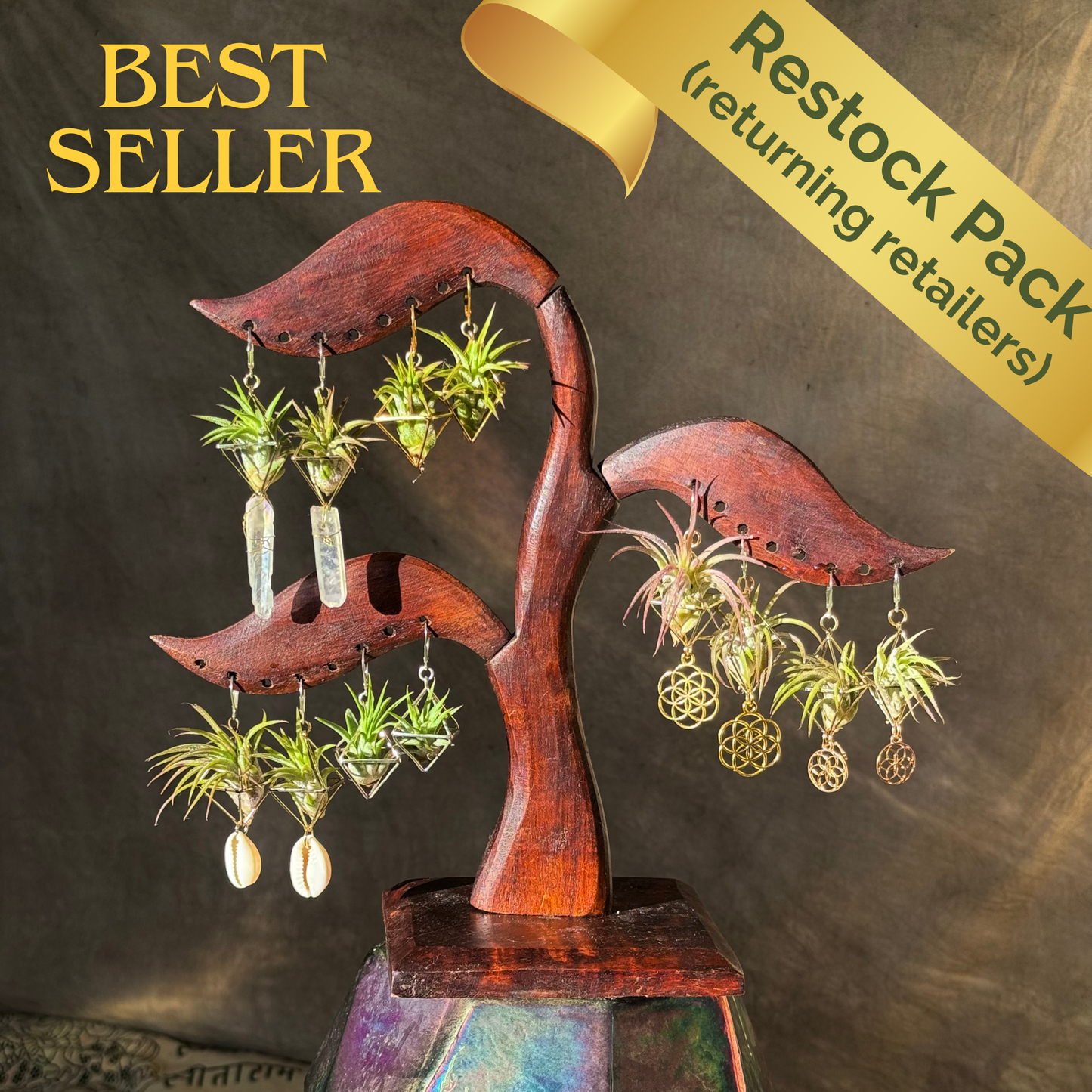 RE-ORDER WHOLESALE PACK: 10 - 15 PAIRS BEST SELLERS AIR PLANT EARRINGS x 50% DISCOUNT