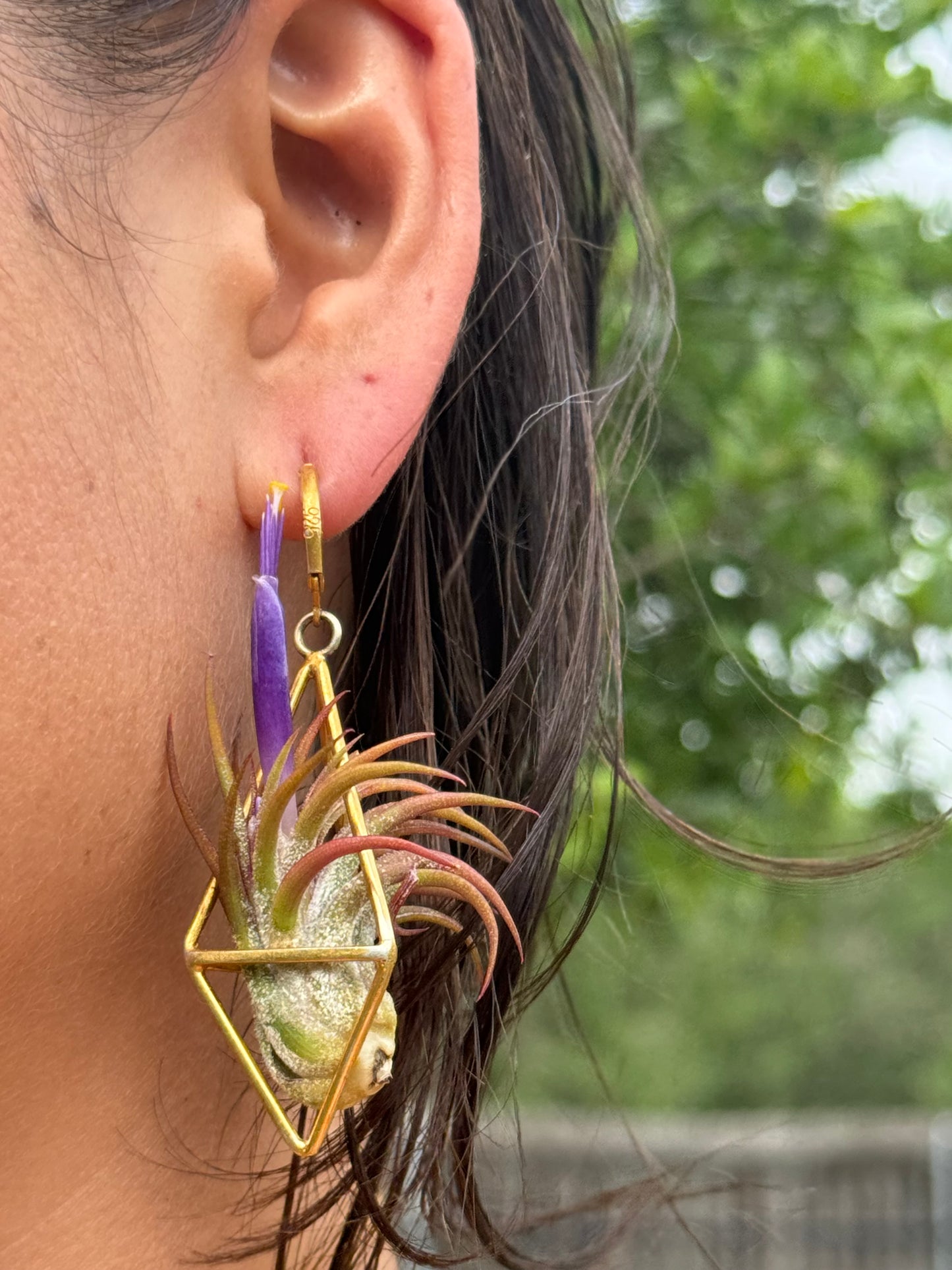 24K Gold Long Tetrahedron Air Plant Earrings ~ Minimalist Geometric Earrings