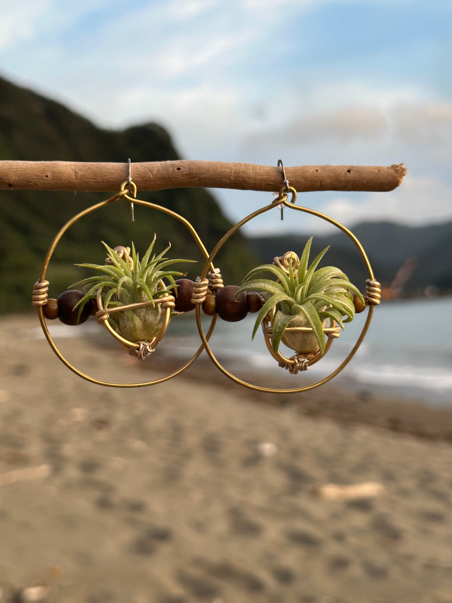 Living Air Plant Living Hoop Earrings