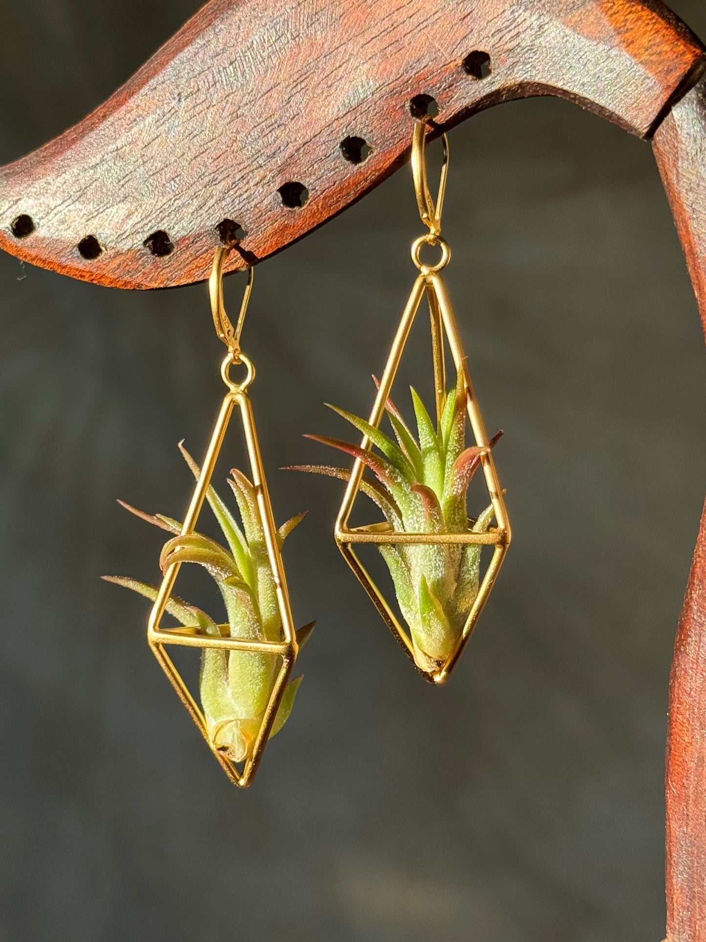 24K Gold Long Tetrahedron Air Plant Earrings ~ Minimalist Geometric Earrings