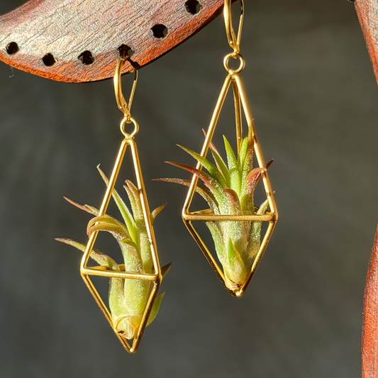 24K Gold Long Tetrahedron Air Plant Earrings ~ Minimalist Geometric Earrings