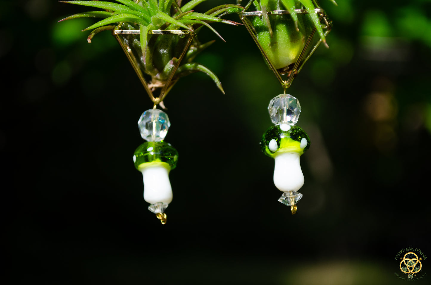 Glass Mushroom Air Plant Earrings ~ Diamond Octahedron Earrings