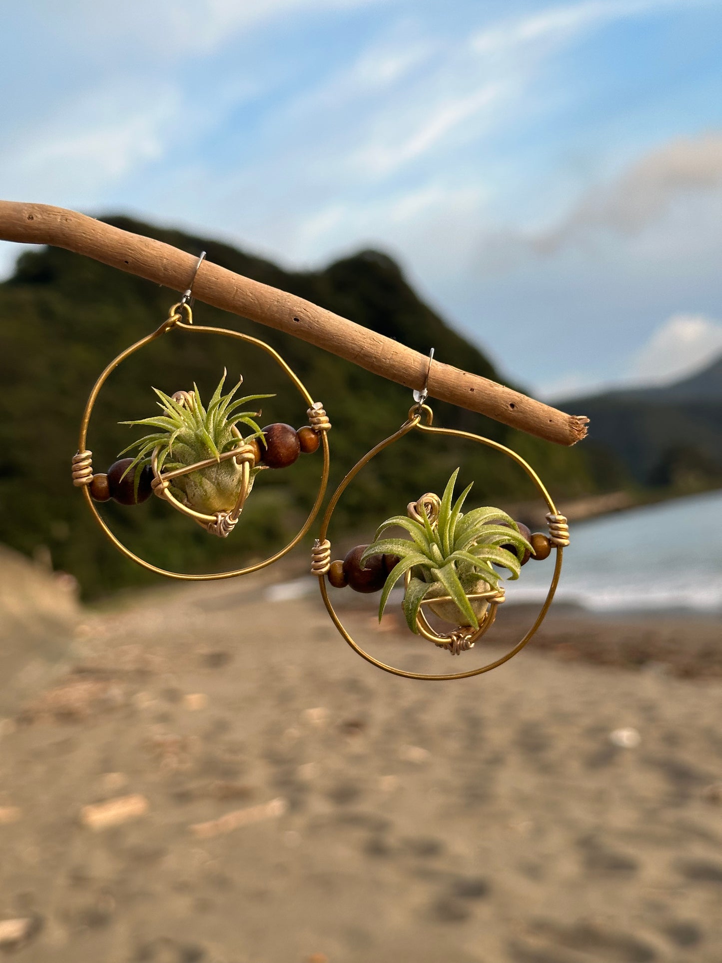 Living Air Plant Living Hoop Earrings