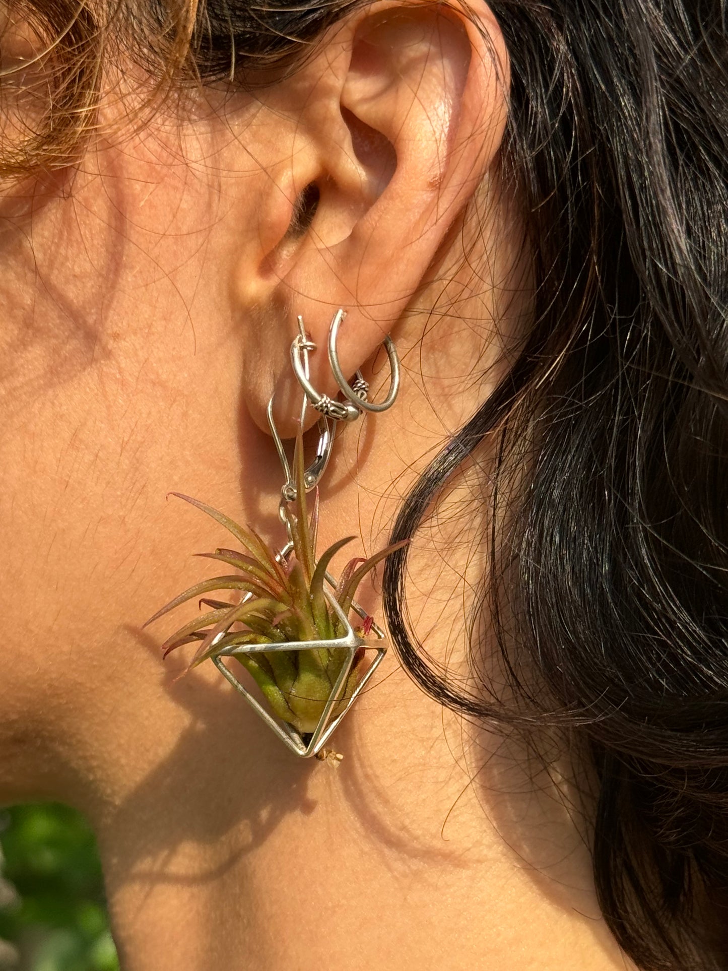 Sterling Silver Mini Octahedron Classic Air Plant Clasp Earrings