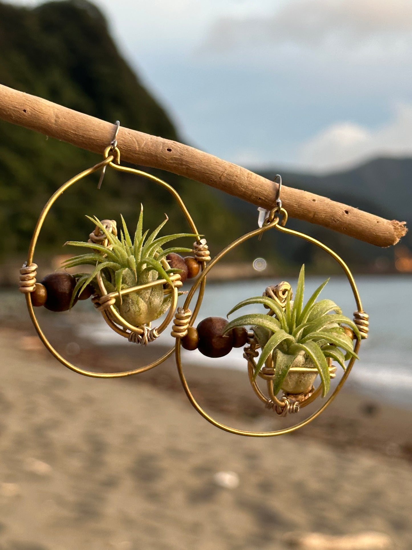 Living Air Plant Living Hoop Earrings