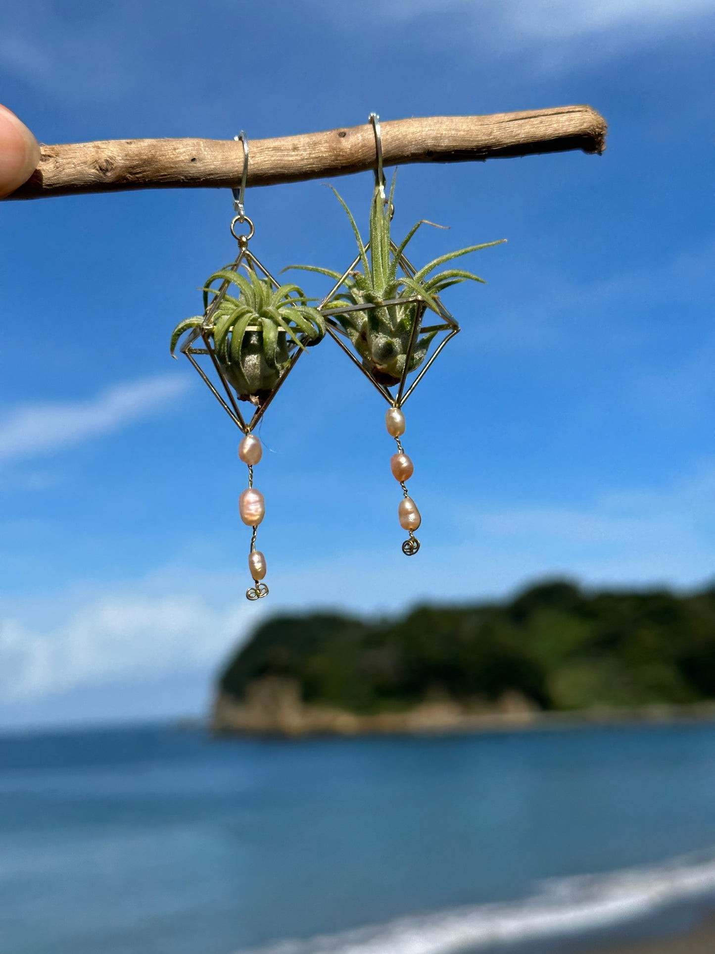 Pearl Dangle Air Plant Earrings