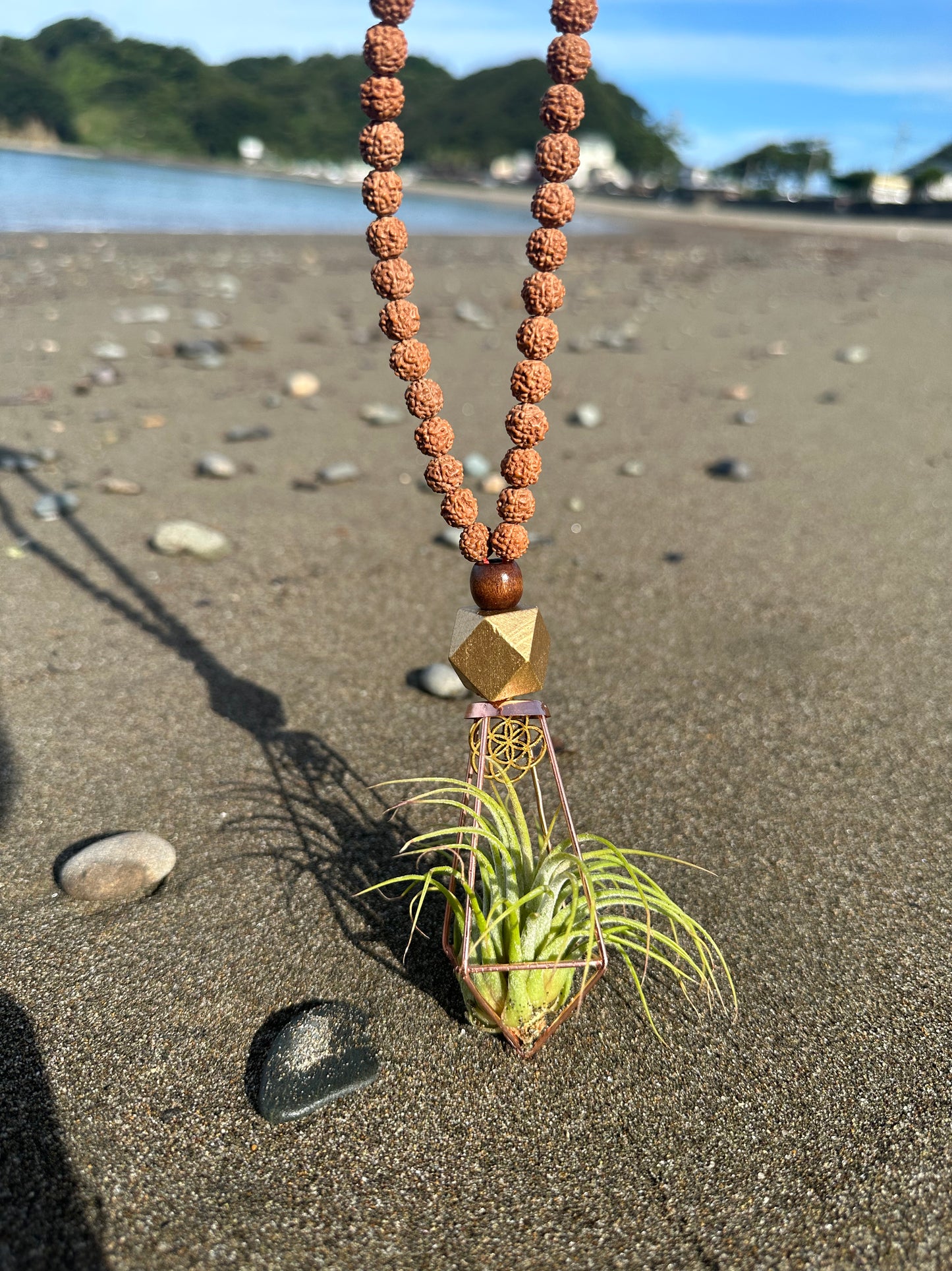 Rudraksha Monk Prayer Bead Air Plant Necklace