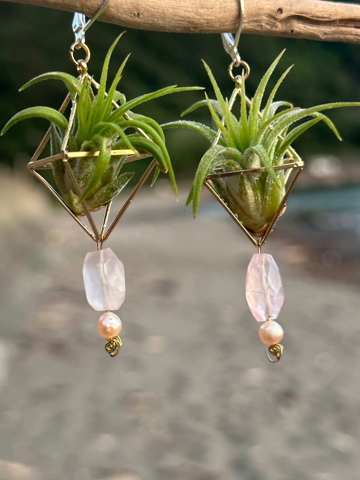 Rose Quartz Air Plant Earrings ~ Diamond Octahedron Earrings