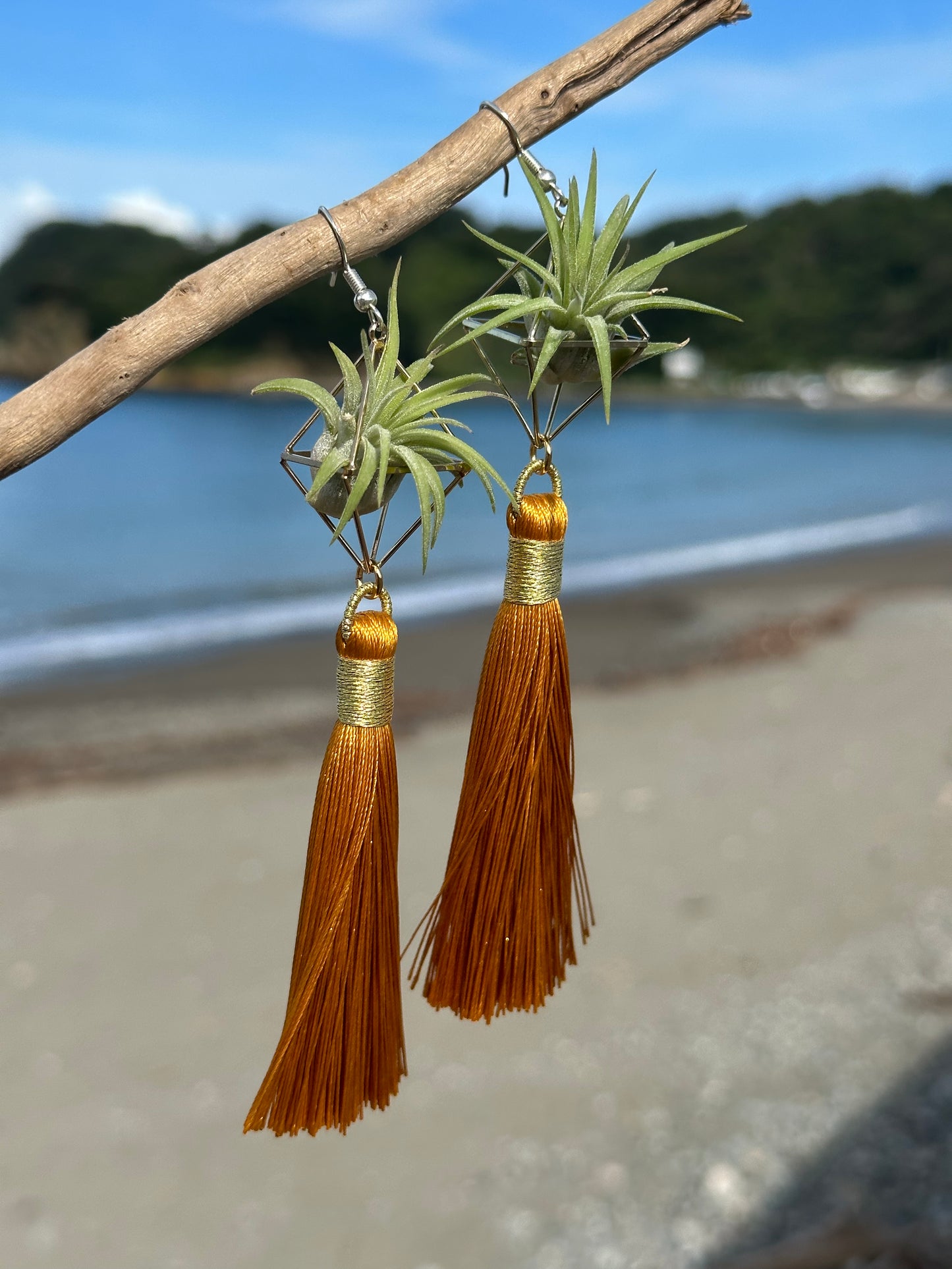 Royal Gold Tassel Air Plant Earrings