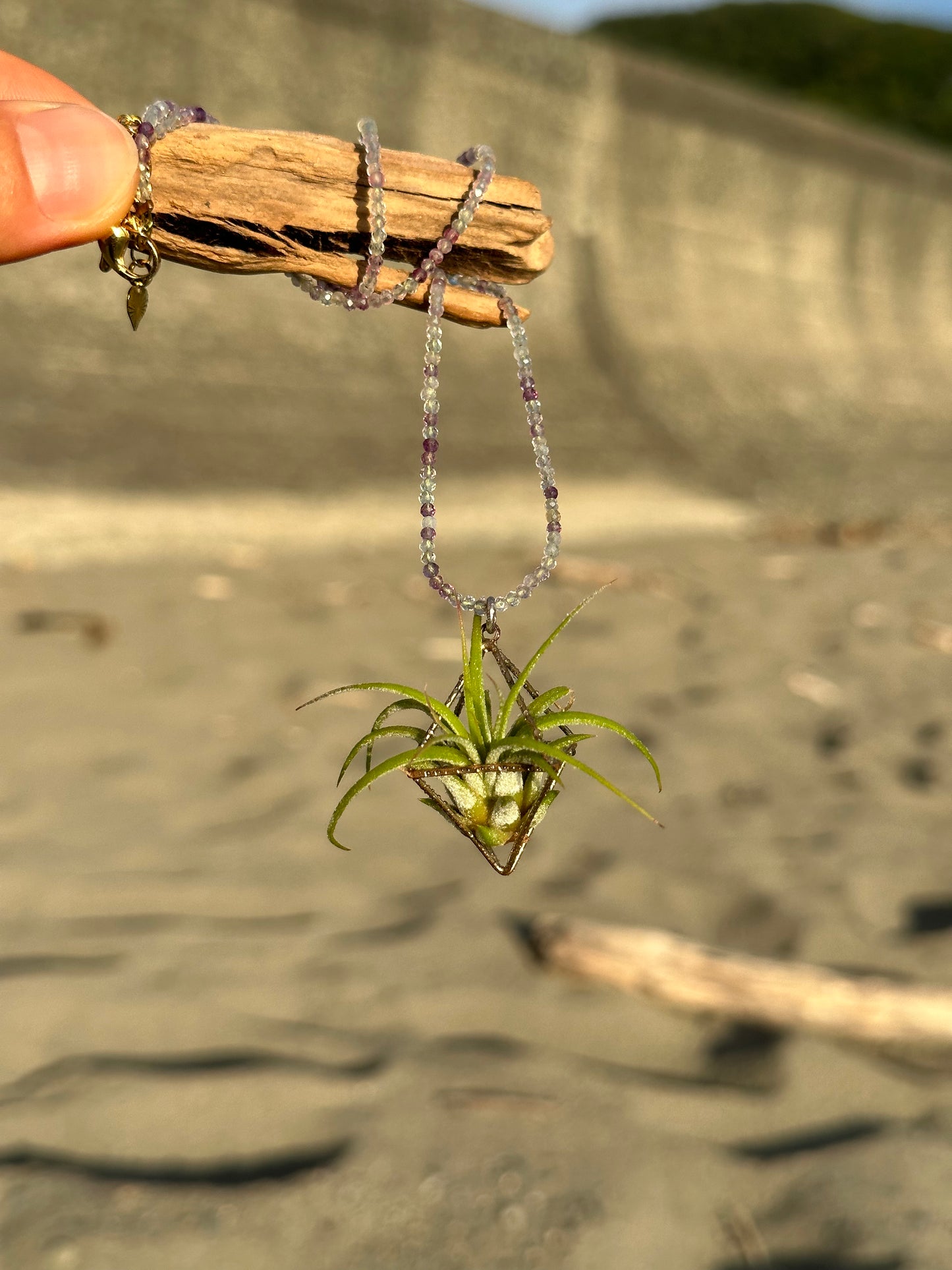 Gemstone Air Plant Pendant