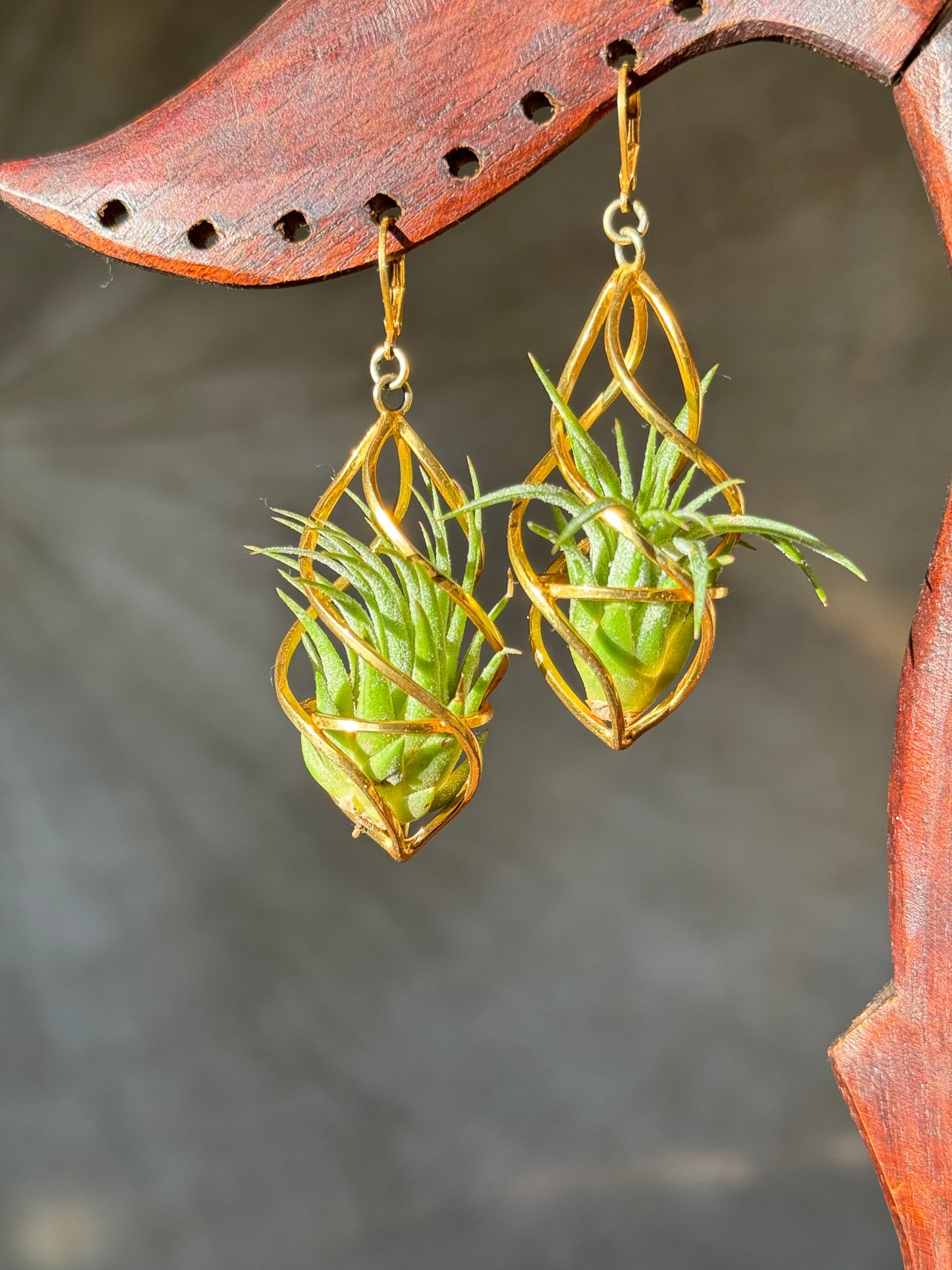 24K Gold Spiral Spindel Air Plant Earrings ~ Luxury Geometric Earrings