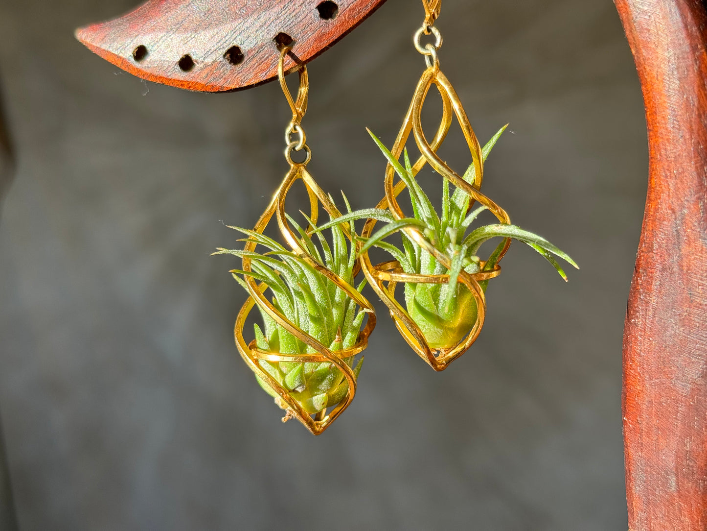 24K Gold Spiral Spindel Air Plant Earrings ~ Luxury Geometric Earrings