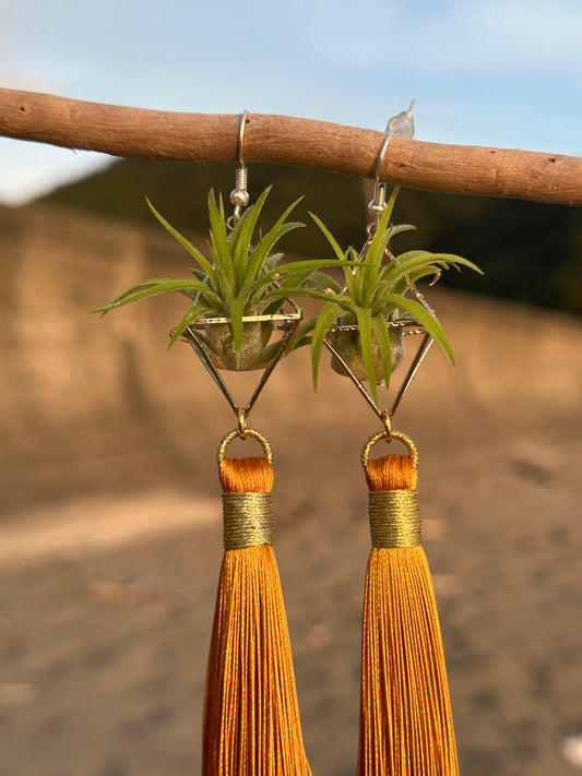 Royal Gold Tassel Air Plant Earrings
