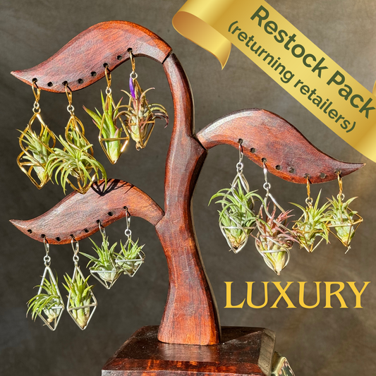 REORDER WHOLESALE PACK: 10 PAIRS - LUXURY 24K GOLD + STERLING SILVER AIR PLANT EARRINGS WHOLESALE PACKAGE x 50% DISCOUNT
