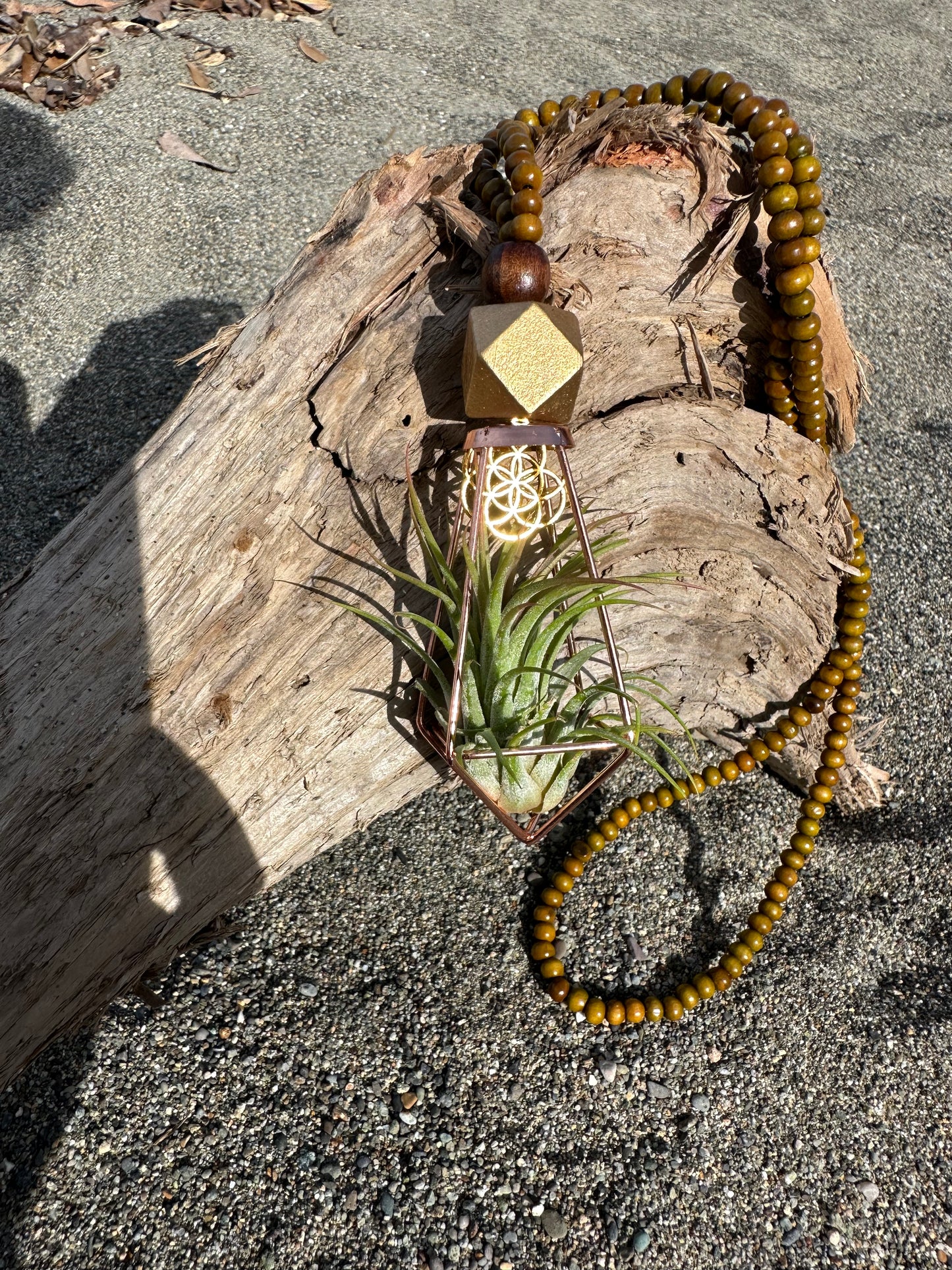 Air Plant Terrarium Sandalwood Bead Necklace ~ Buddha Monk Prayer Beads